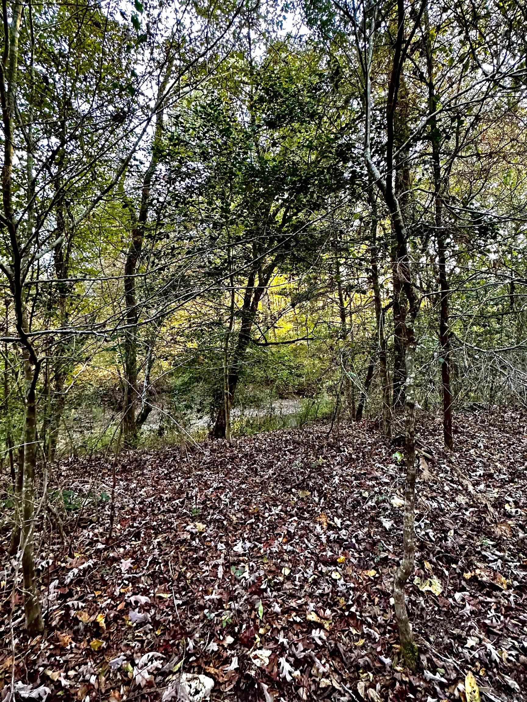 Tract 1  TBD Polk 31  Cove, AR