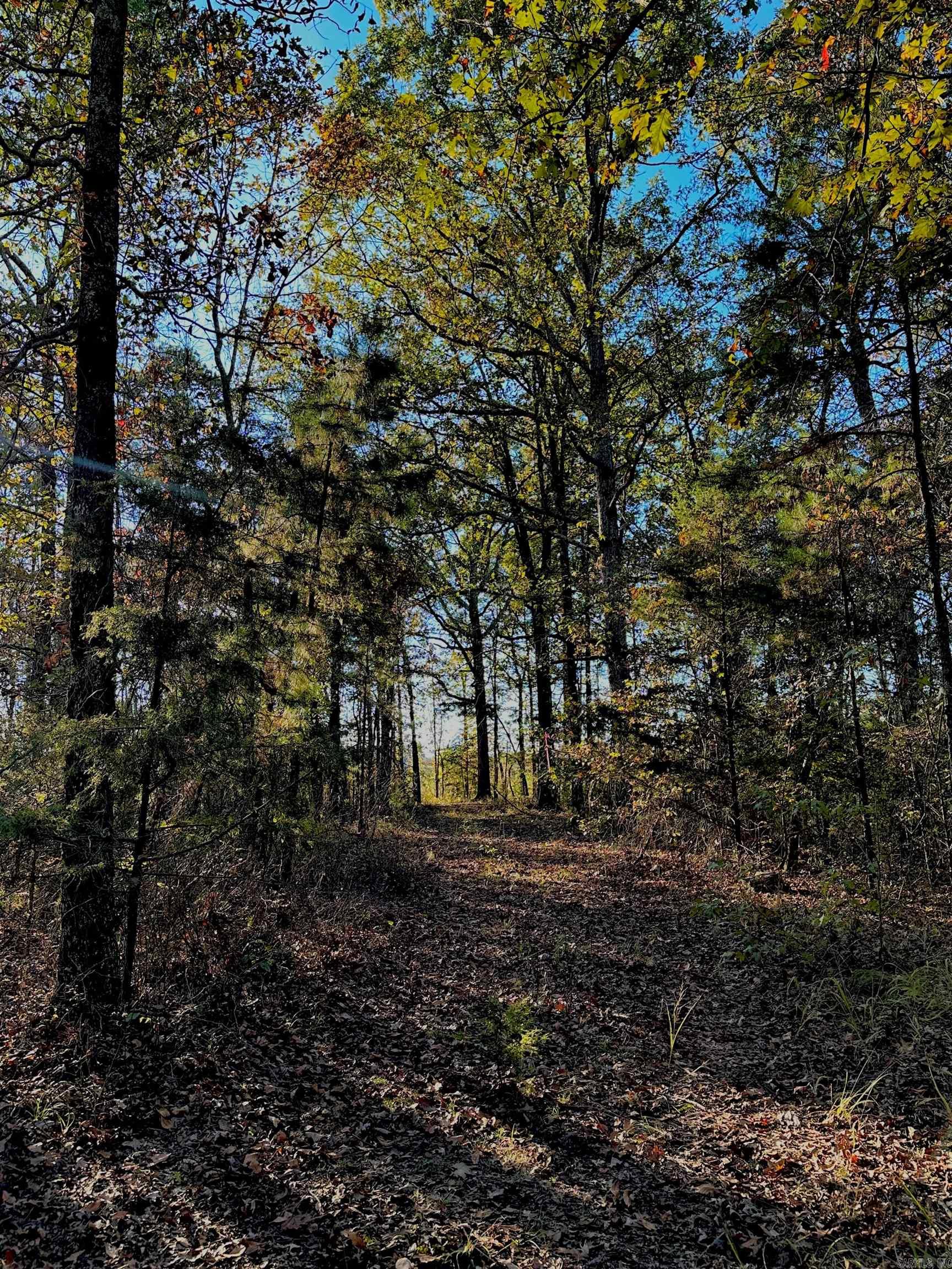 Tract 1  TBD Polk 31  Cove, AR
