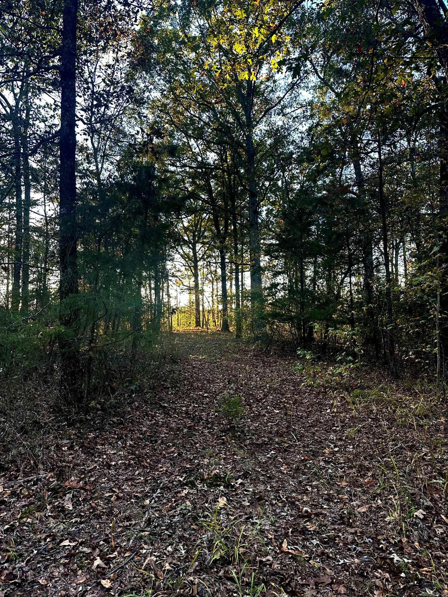 Tract 1  TBD Polk 31  Cove, AR
