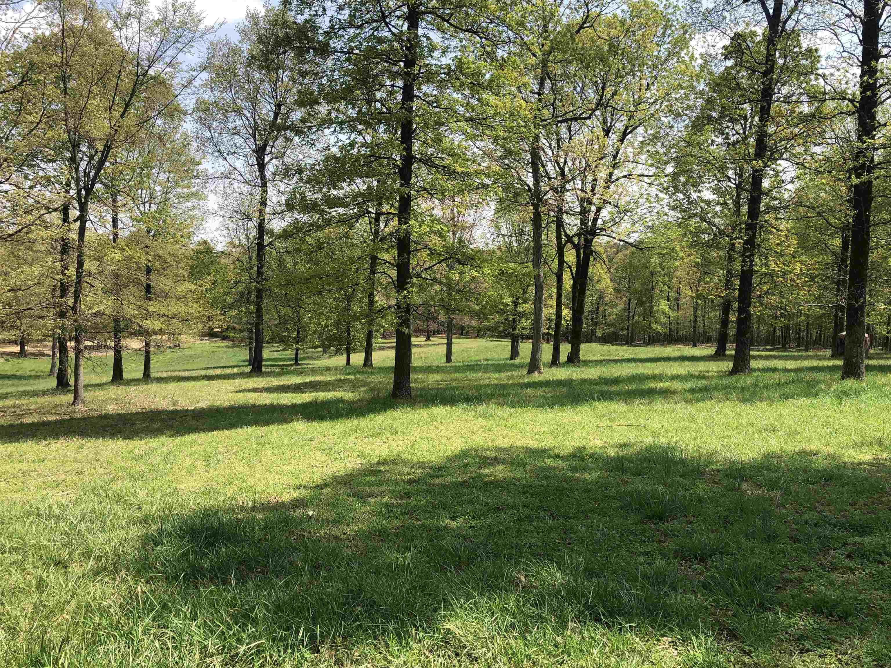 1904  Greene 516 Road  Lafe, AR