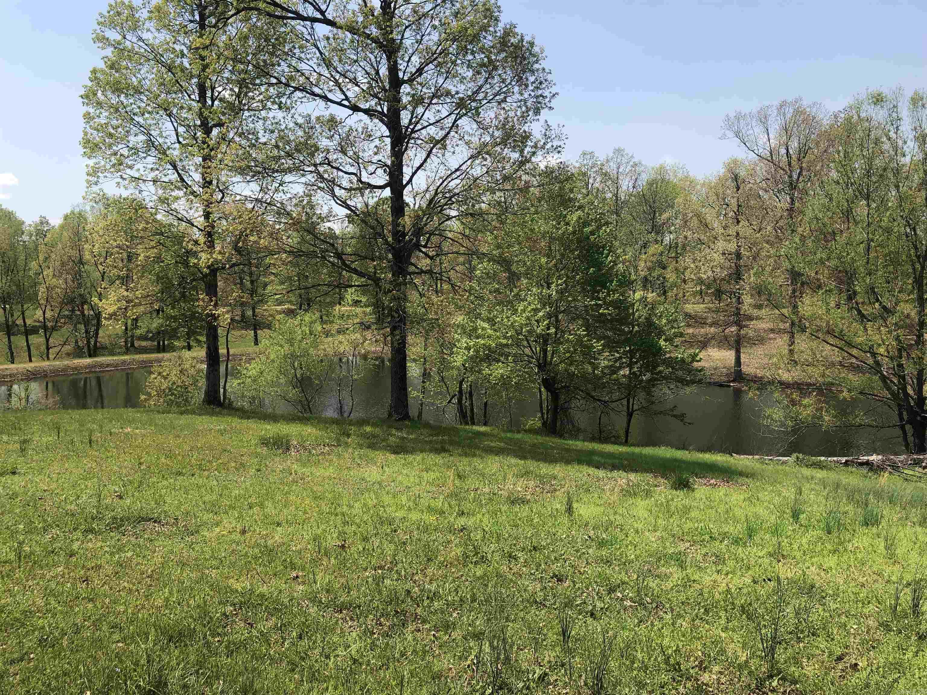 1904 Greene 516 Road  Lafe, AR