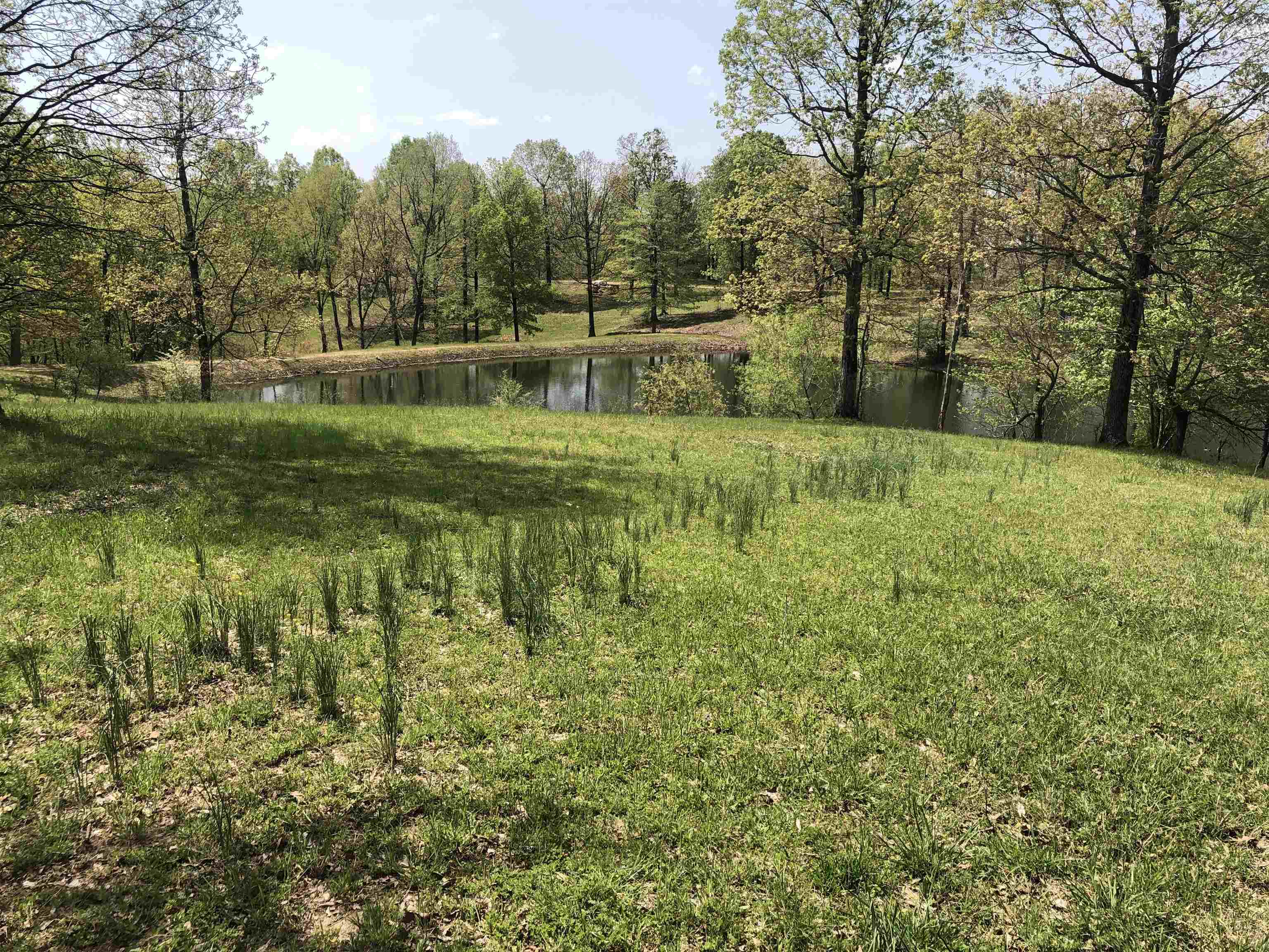 1904  Greene 516 Road  Lafe, AR