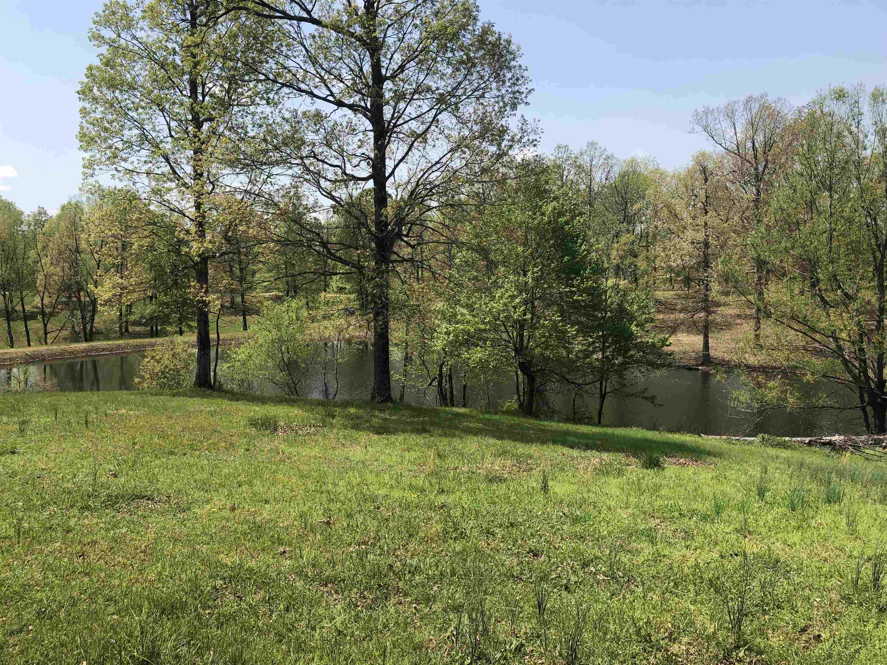 1904  Greene 516 Road  Lafe, AR