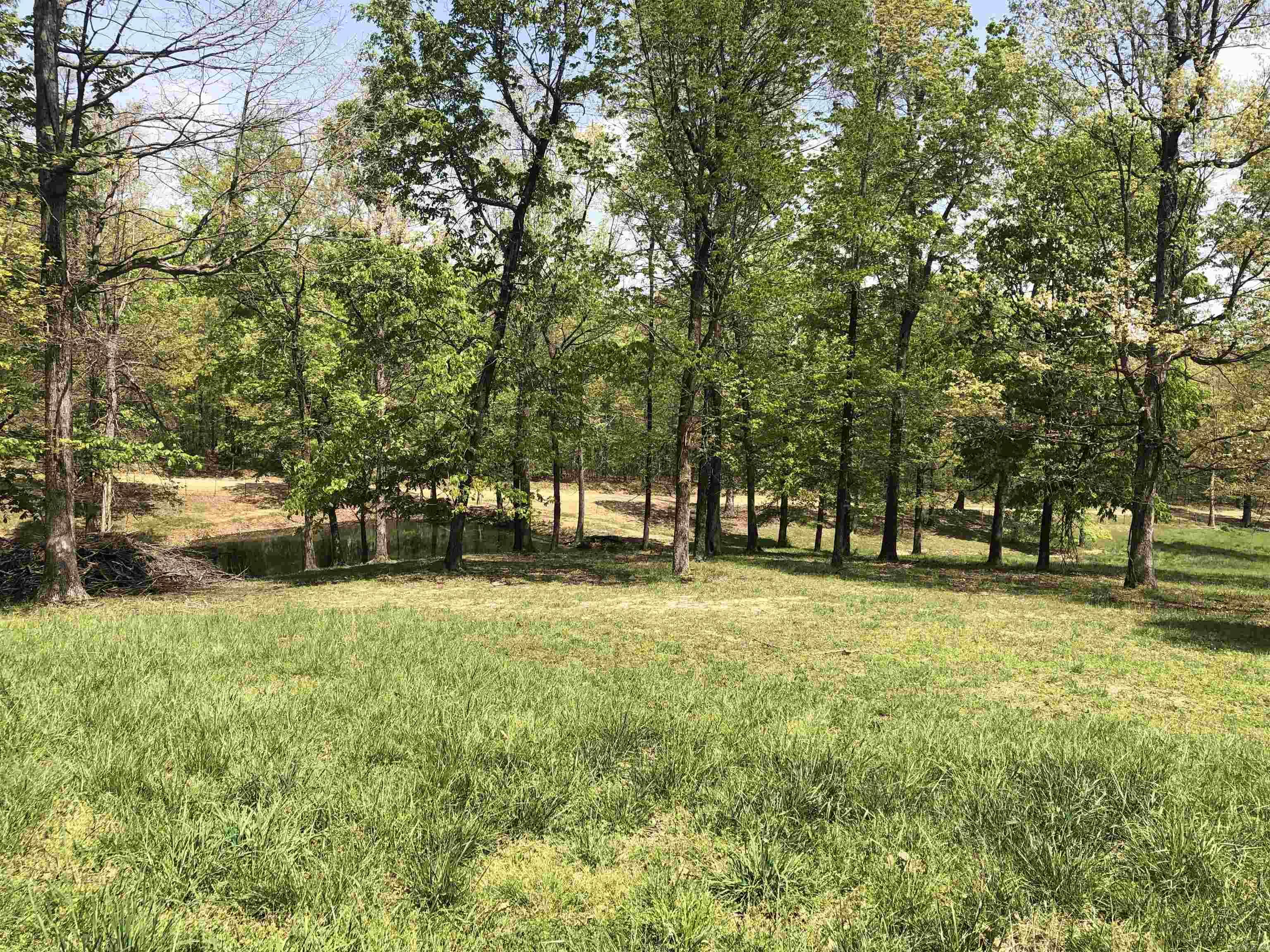 1904 Greene 516 Road  Lafe, AR
