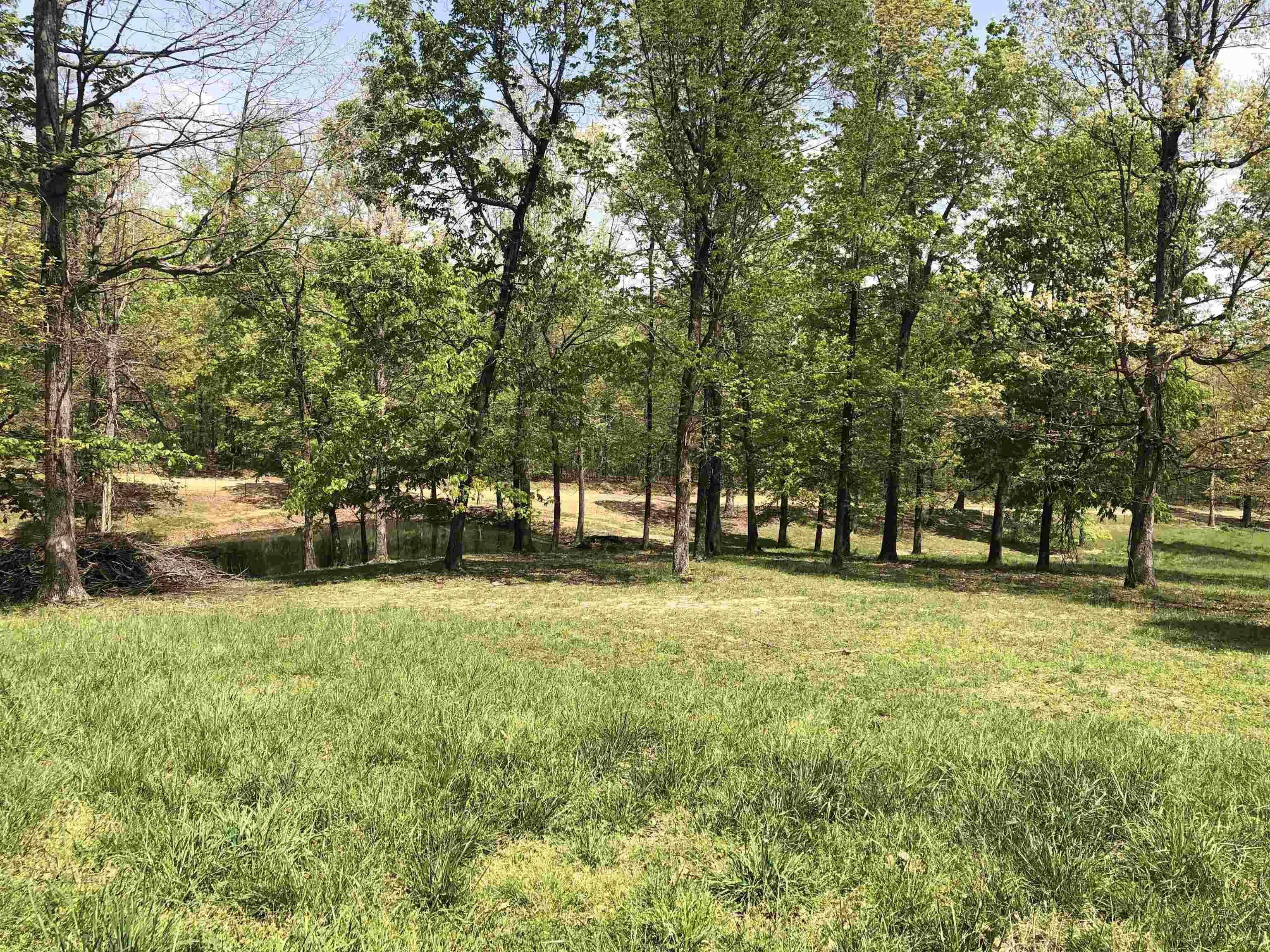 1904  Greene 516 Road  Lafe, AR