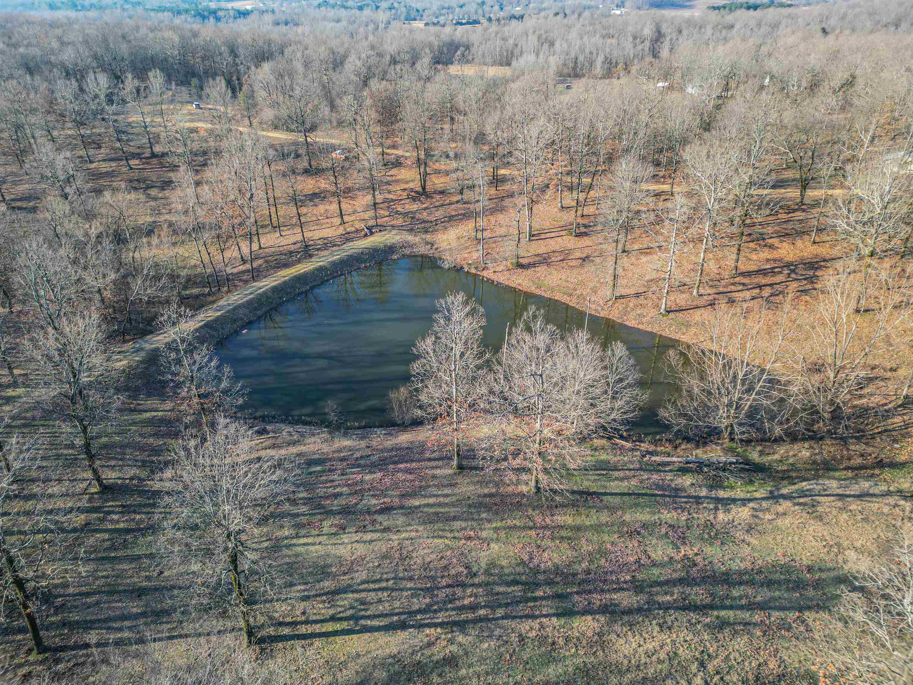 1904  Greene 516 Road  Lafe, AR