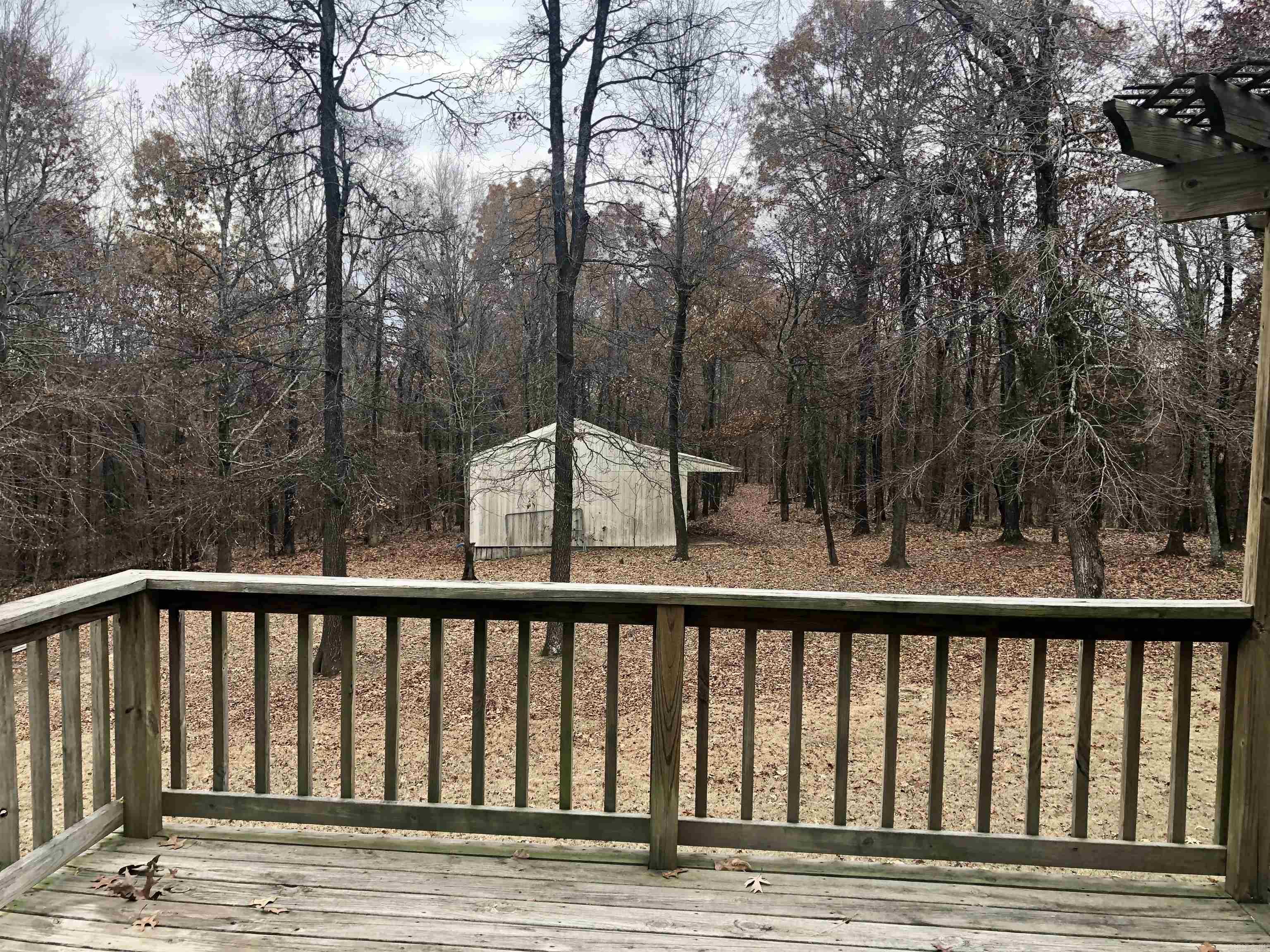1904 Greene 516 Road  Lafe, AR