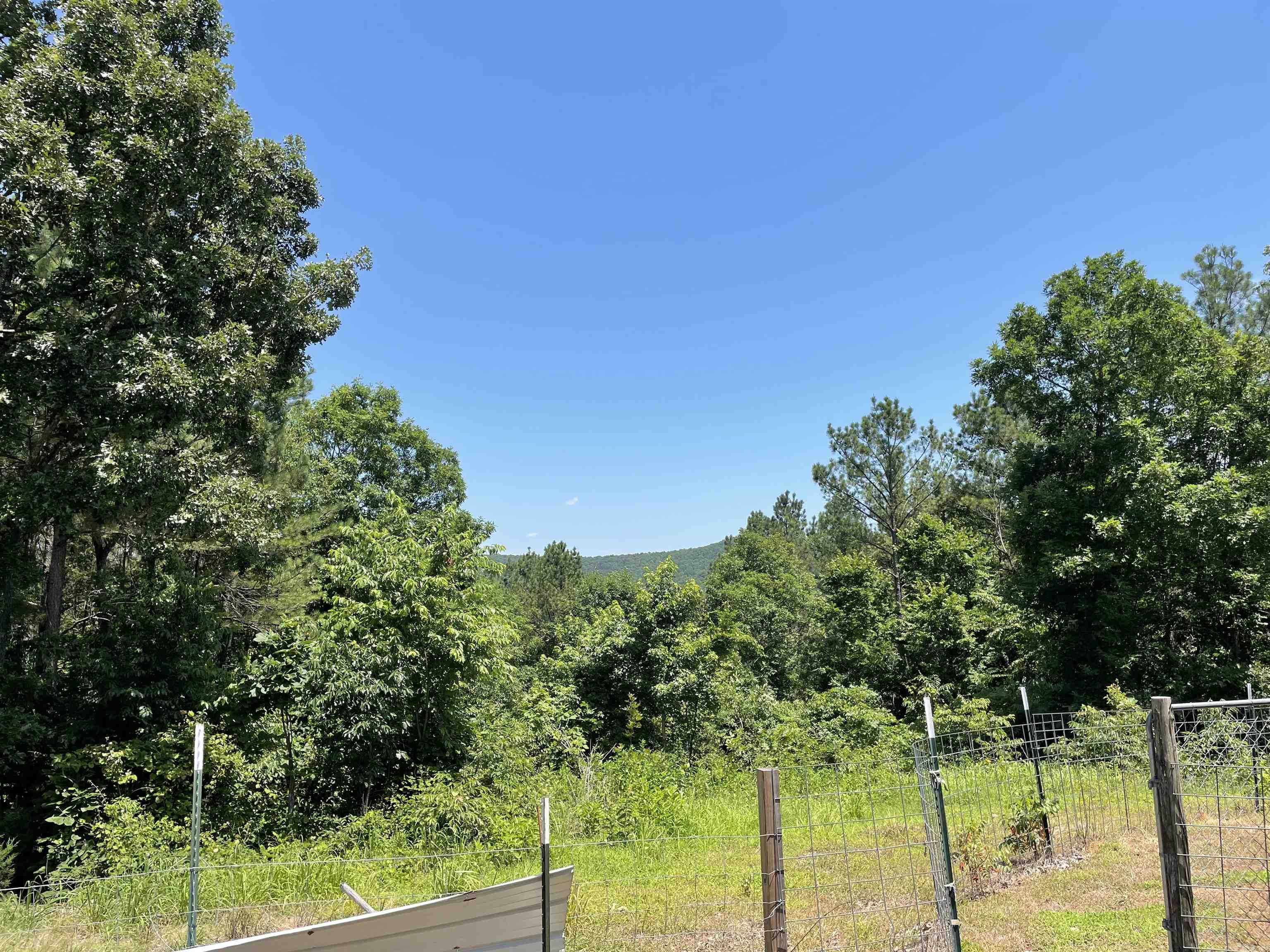 181 Sawtooth Mountain Pine, AR 71956