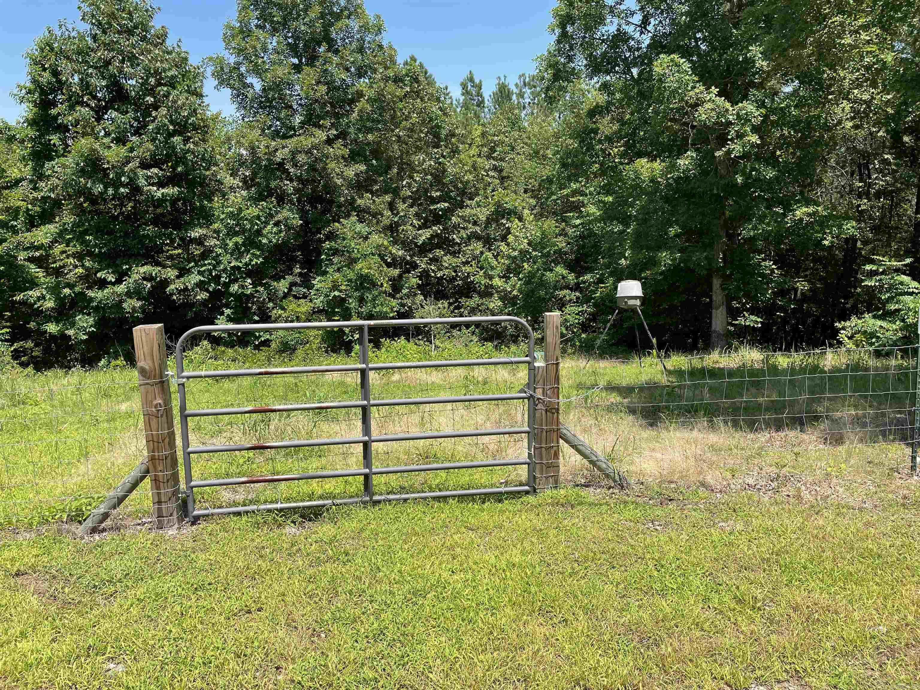 181 Sawtooth Mountain Pine, AR 71956