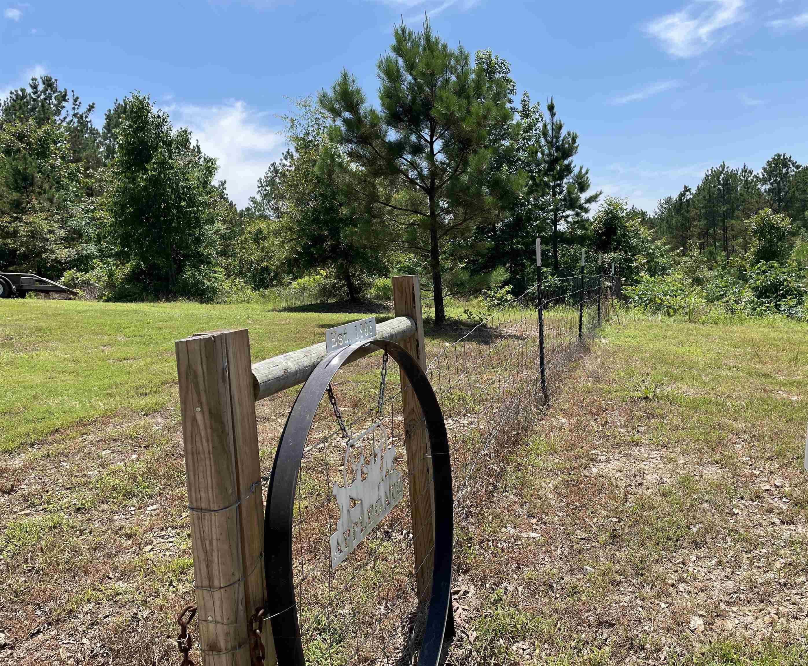 181 Sawtooth Mountain Pine, AR 71956