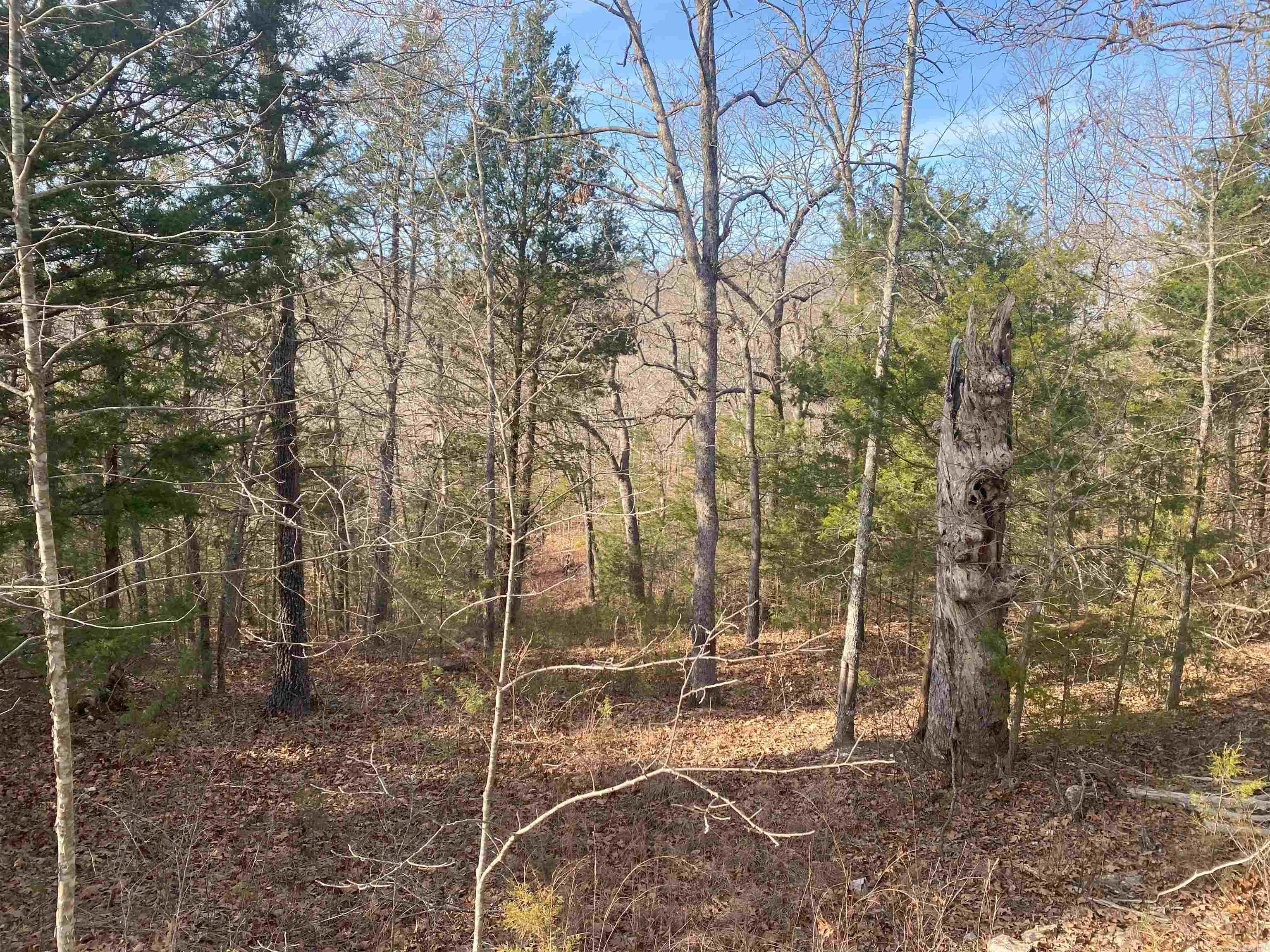   Concord Lot 6 of Panther Cove Mountain Home, AR