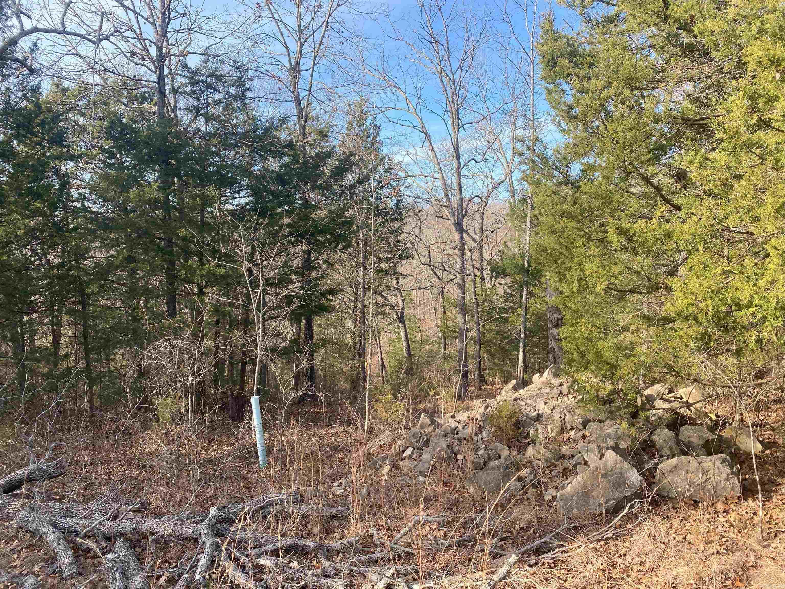   Concord Lot 6 of Panther Cove Mountain Home, AR