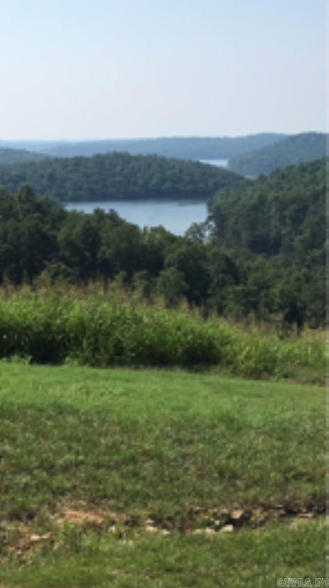   Concord Lot 6 of Panther Cove Mountain Home, AR