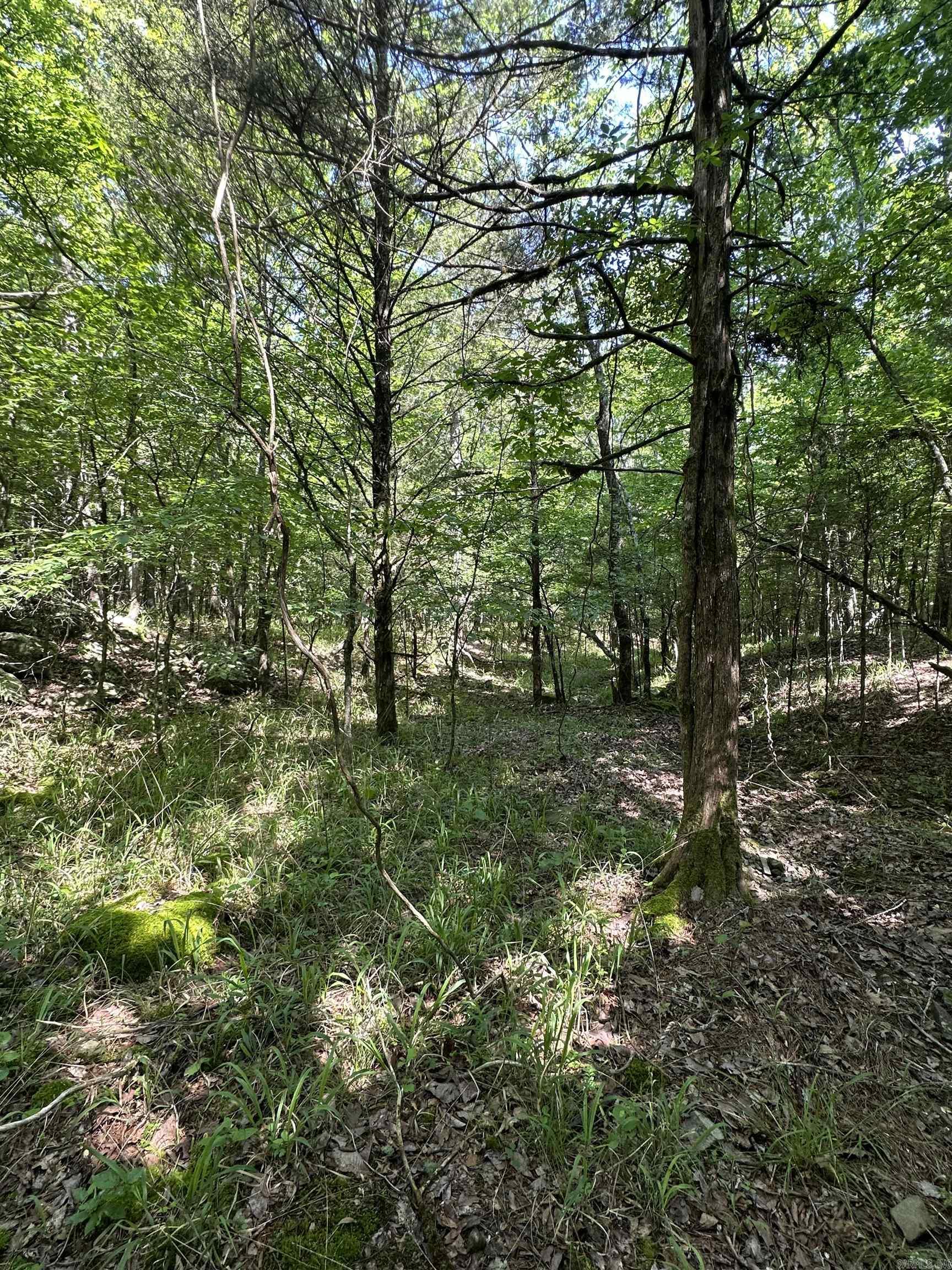 TBD  From HWY 71  Mena, AR