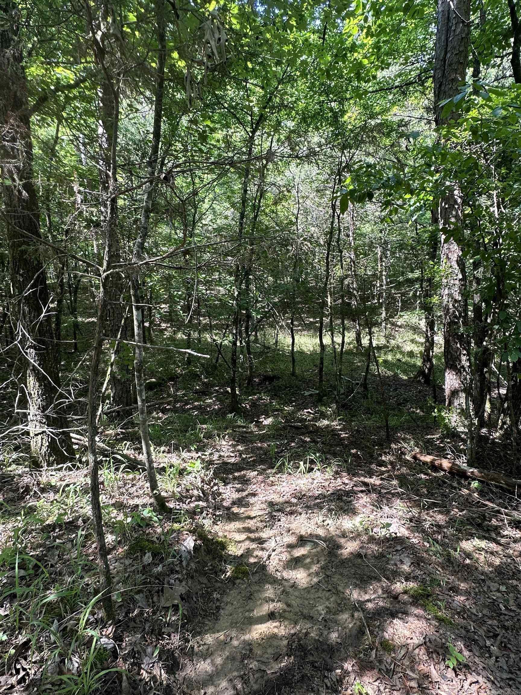 TBD  From HWY 71  Mena, AR