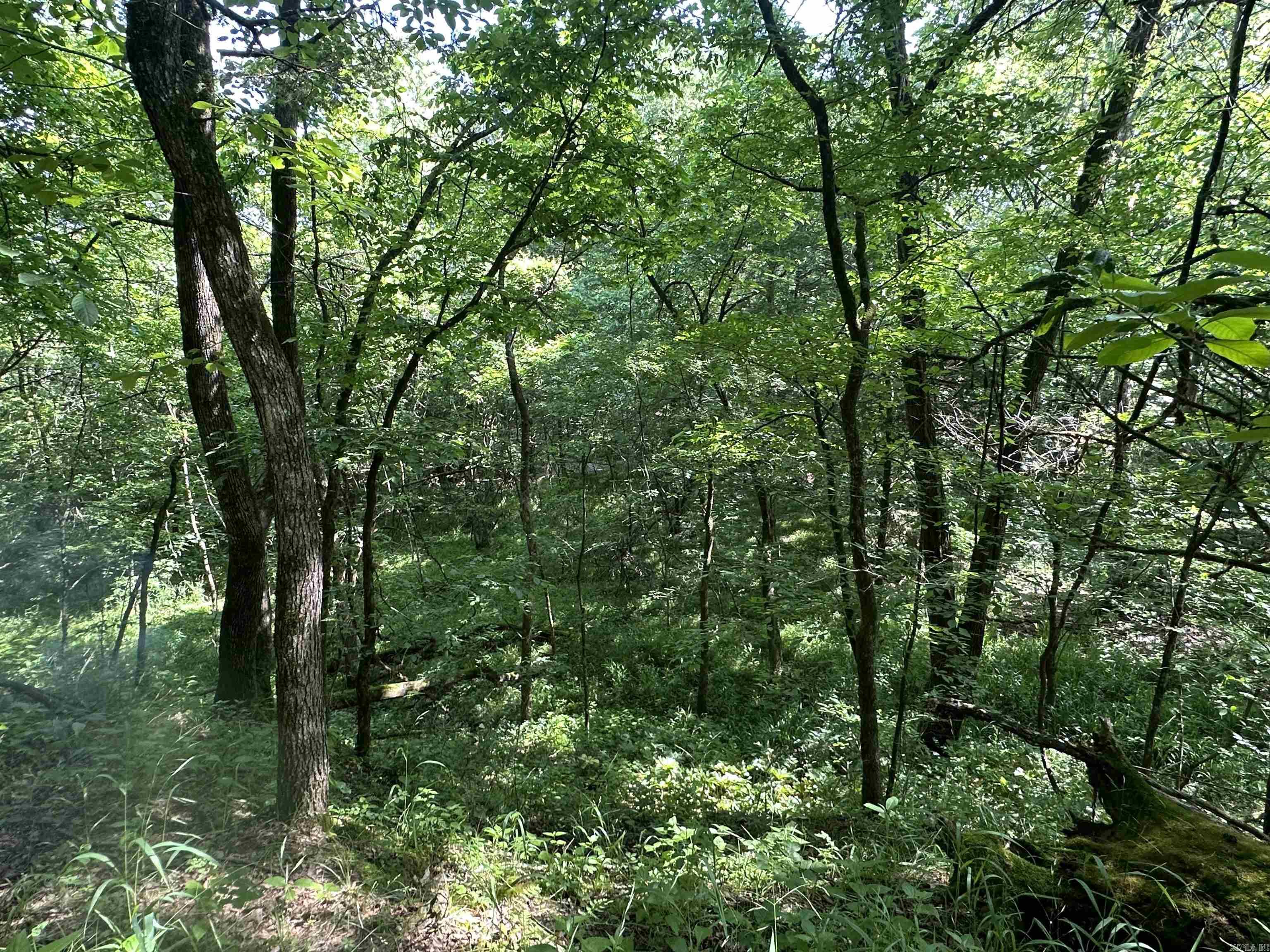 TBD  From HWY 71  Mena, AR