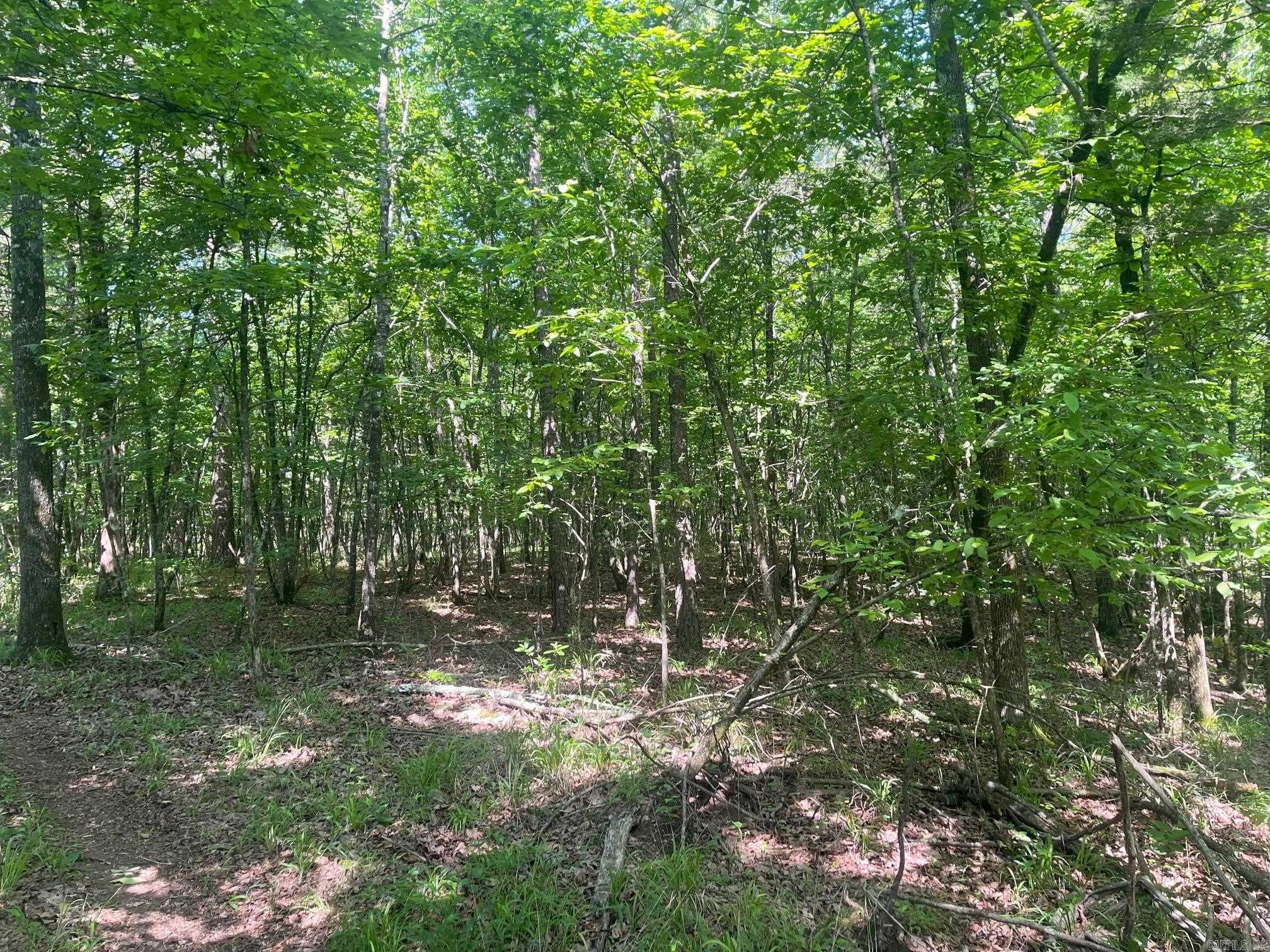 TBD  From HWY 71  Mena, AR