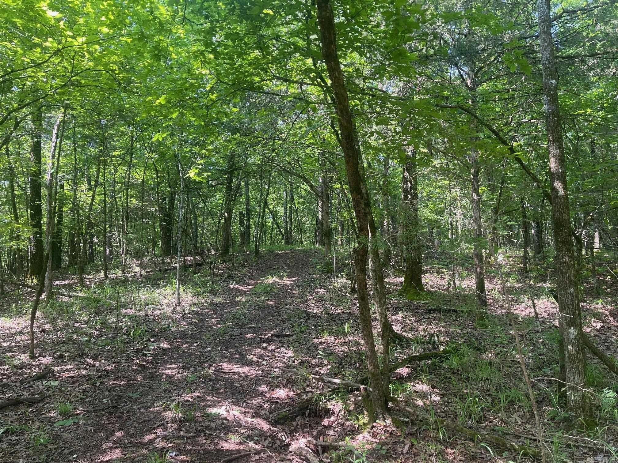 TBD  From HWY 71  Mena, AR