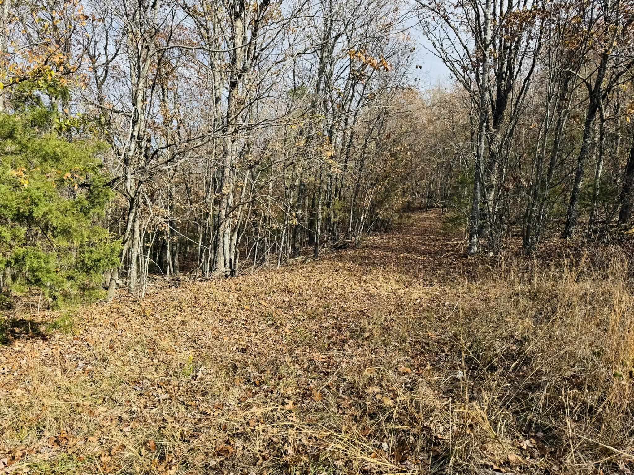 000  Lawrence Lane  Melbourne, AR