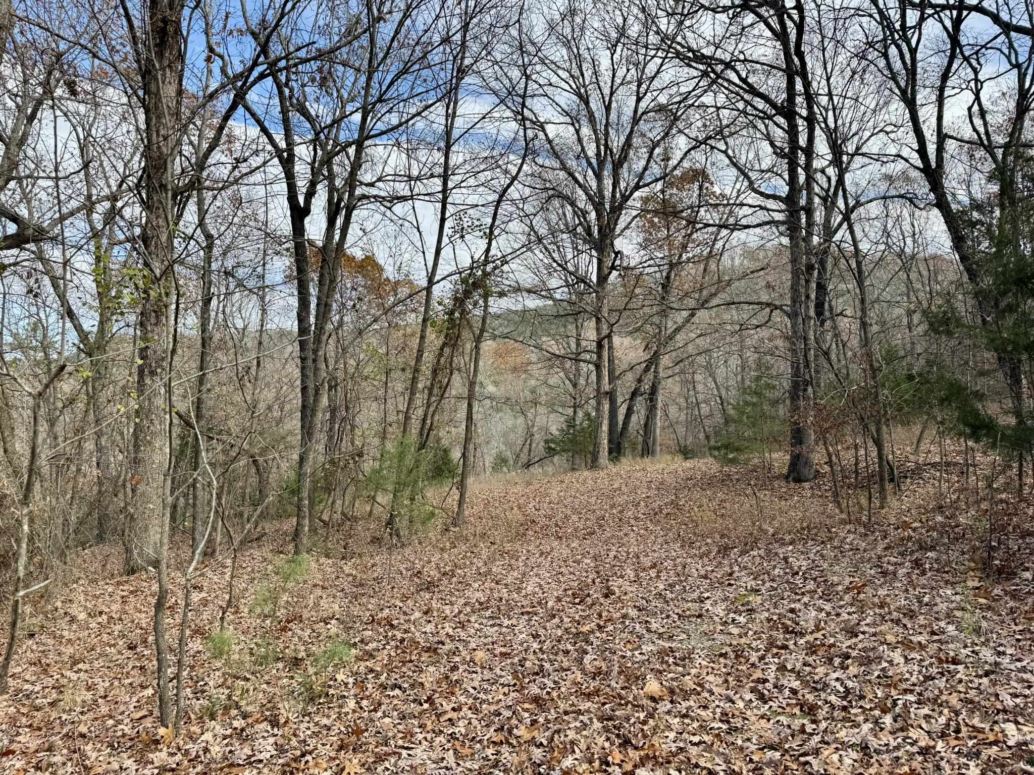000  Lawrence Lane  Melbourne, AR