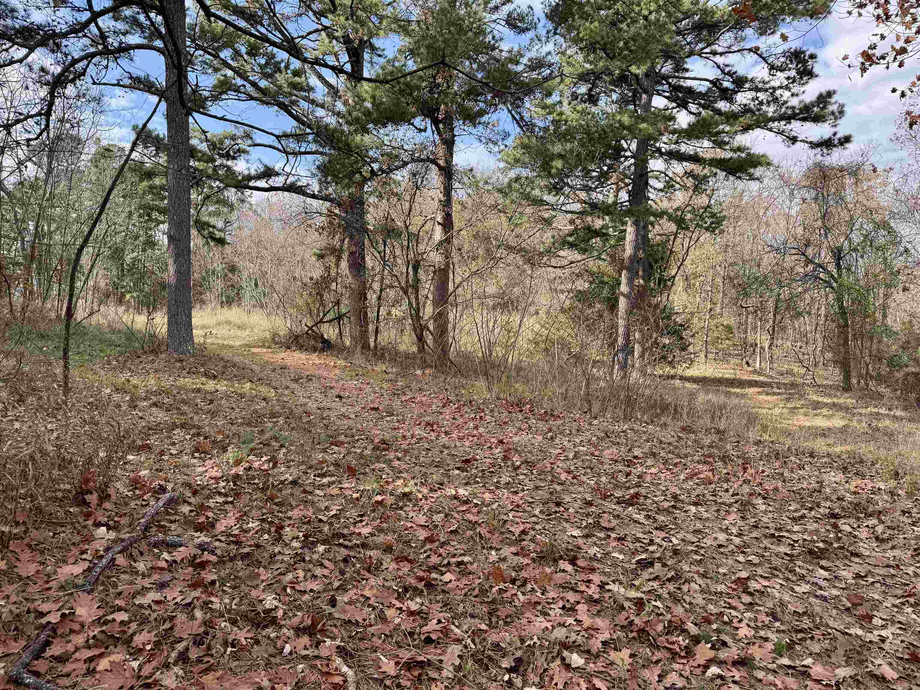 000  Lawrence Lane  Melbourne, AR