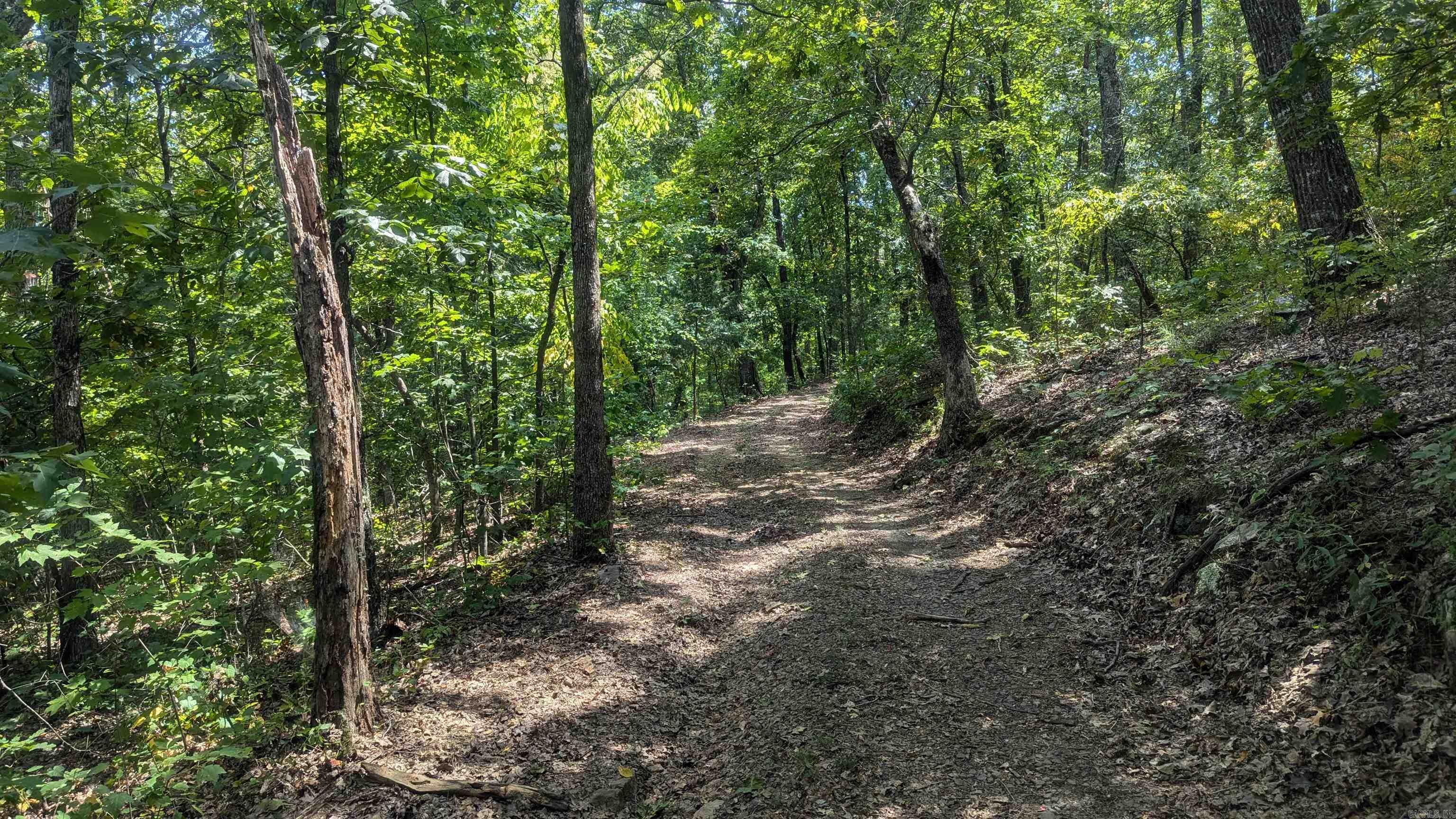 000  Hickory Hill  Drasco, AR