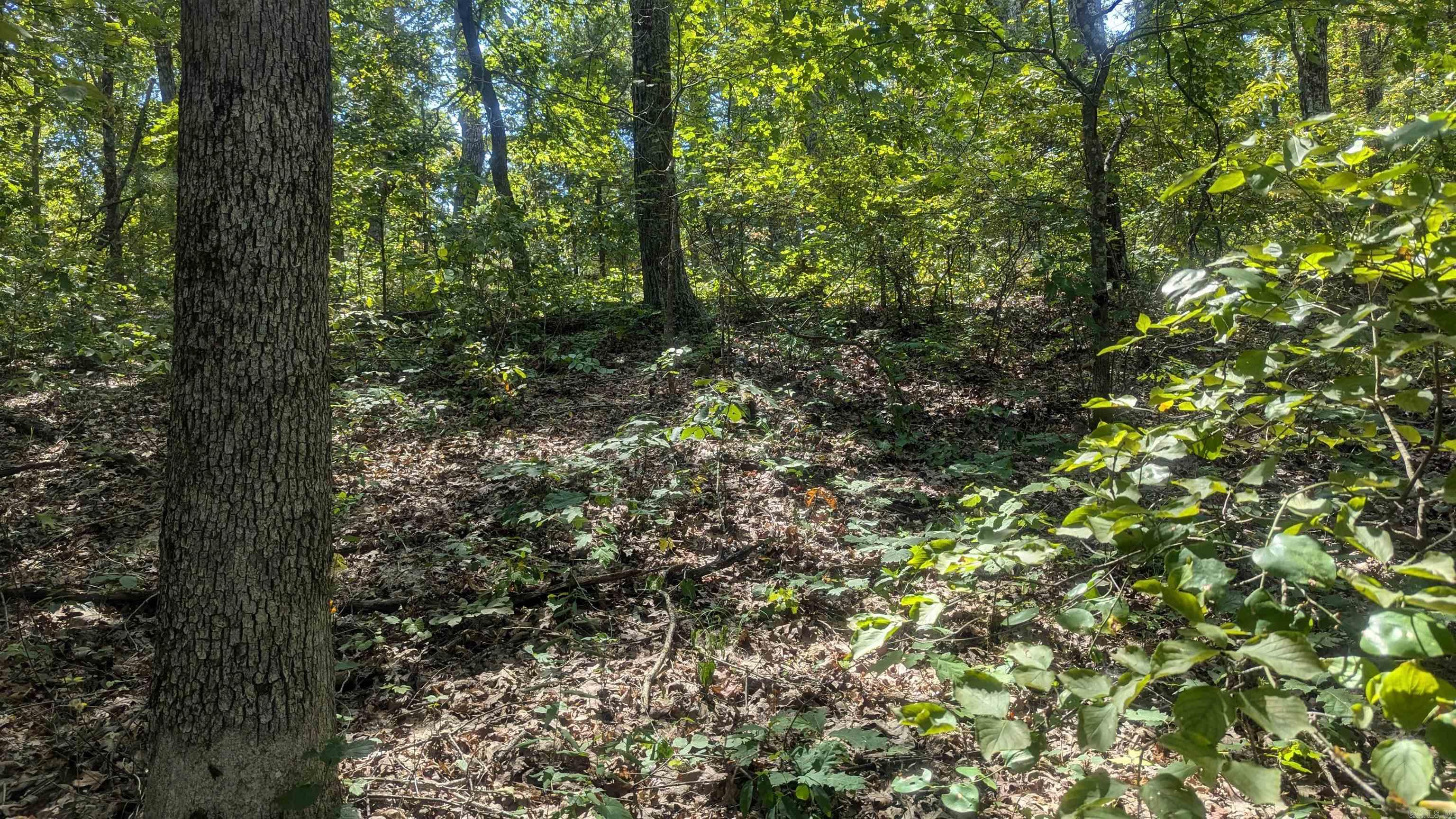 000  Hickory Hill  Drasco, AR