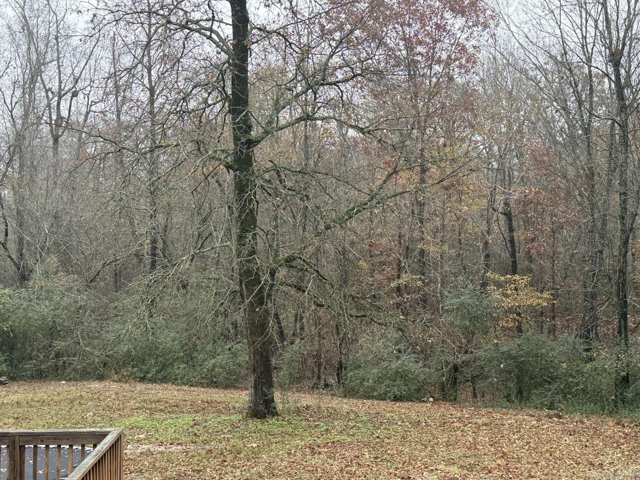 13721  Hilaro Springs  Little Rock, AR