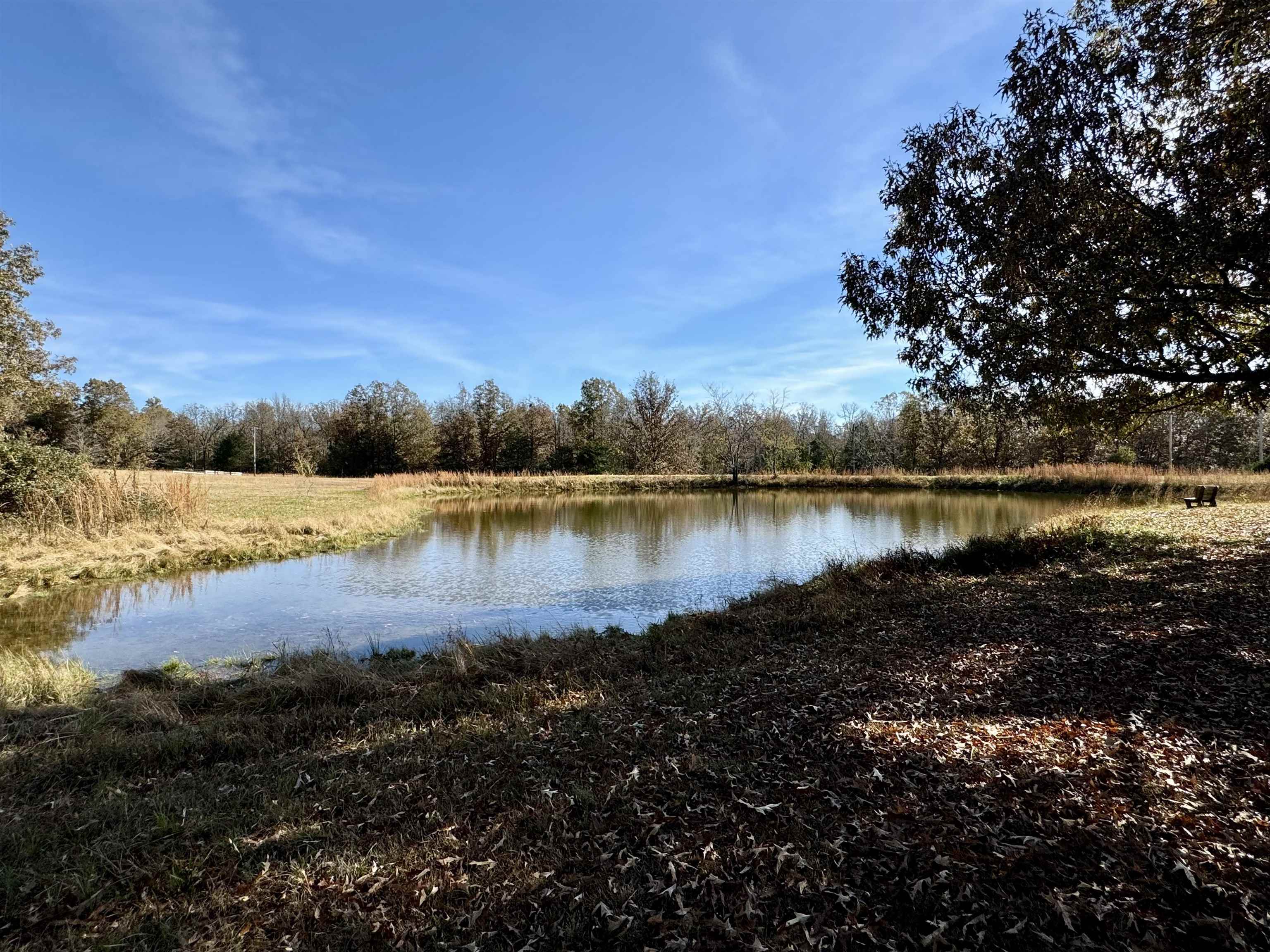 513  Hunter Cemetery Road  Salem, AR