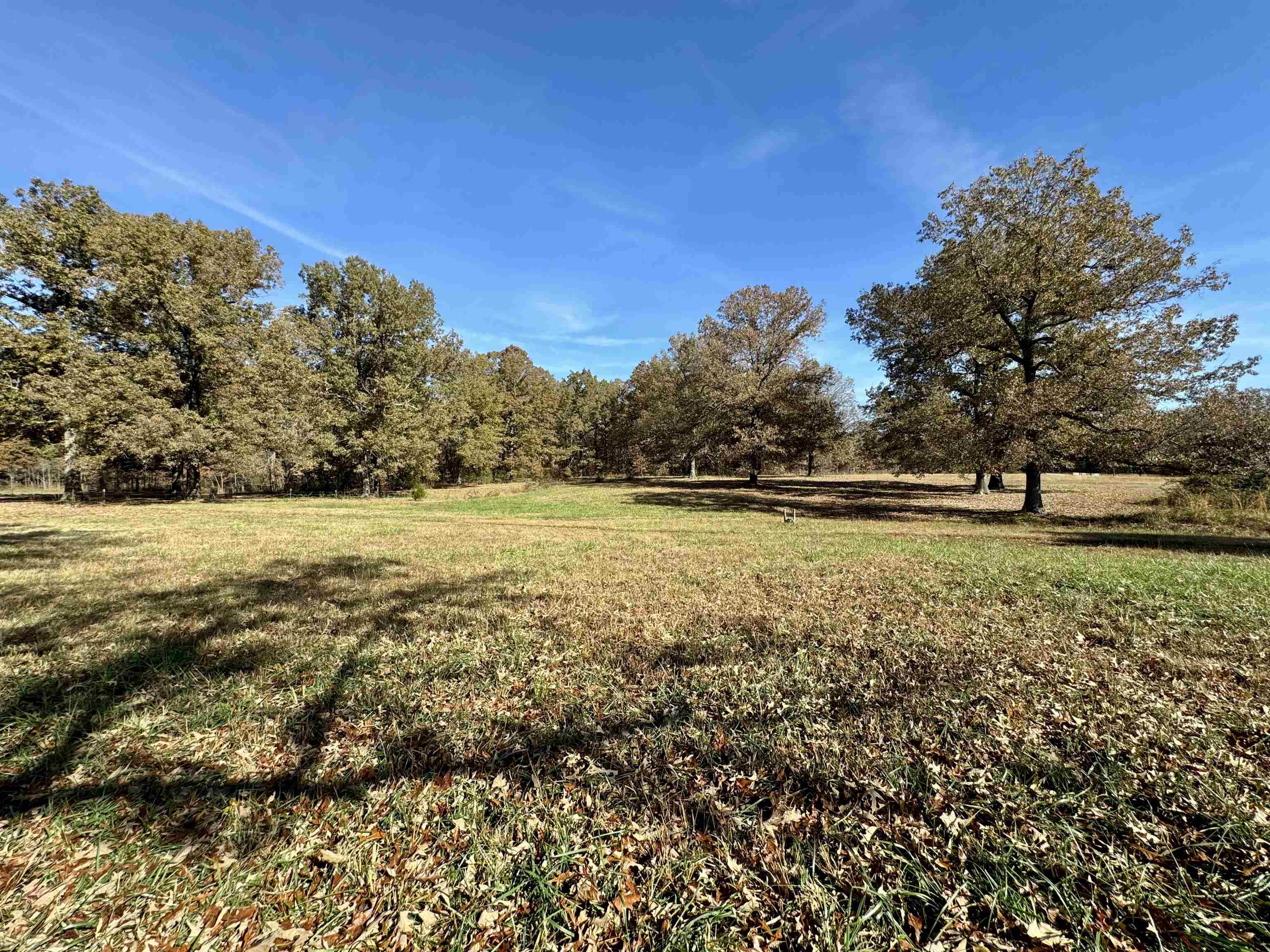 513  Hunter Cemetery Road  Salem, AR