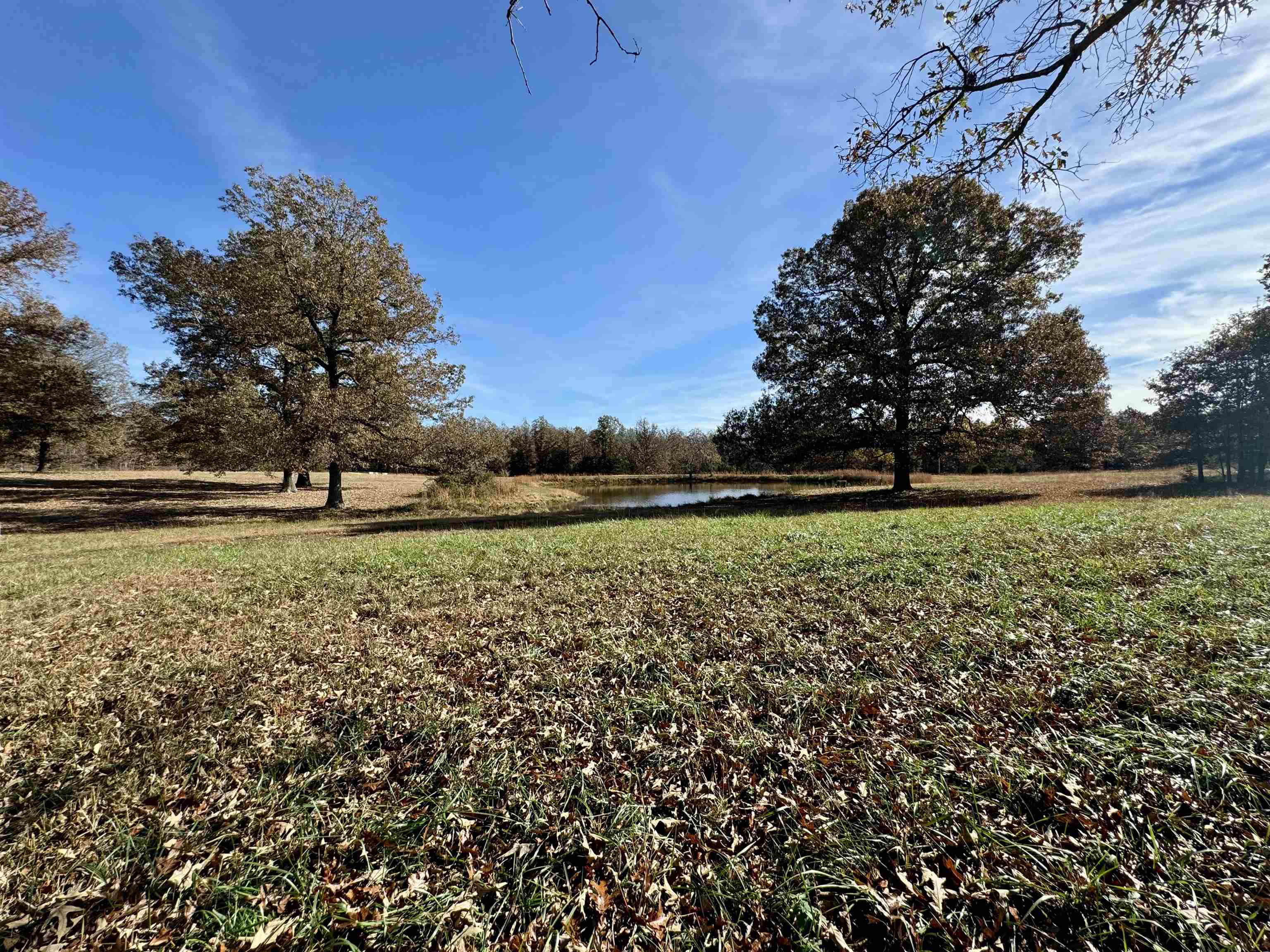 513  Hunter Cemetery Road  Salem, AR