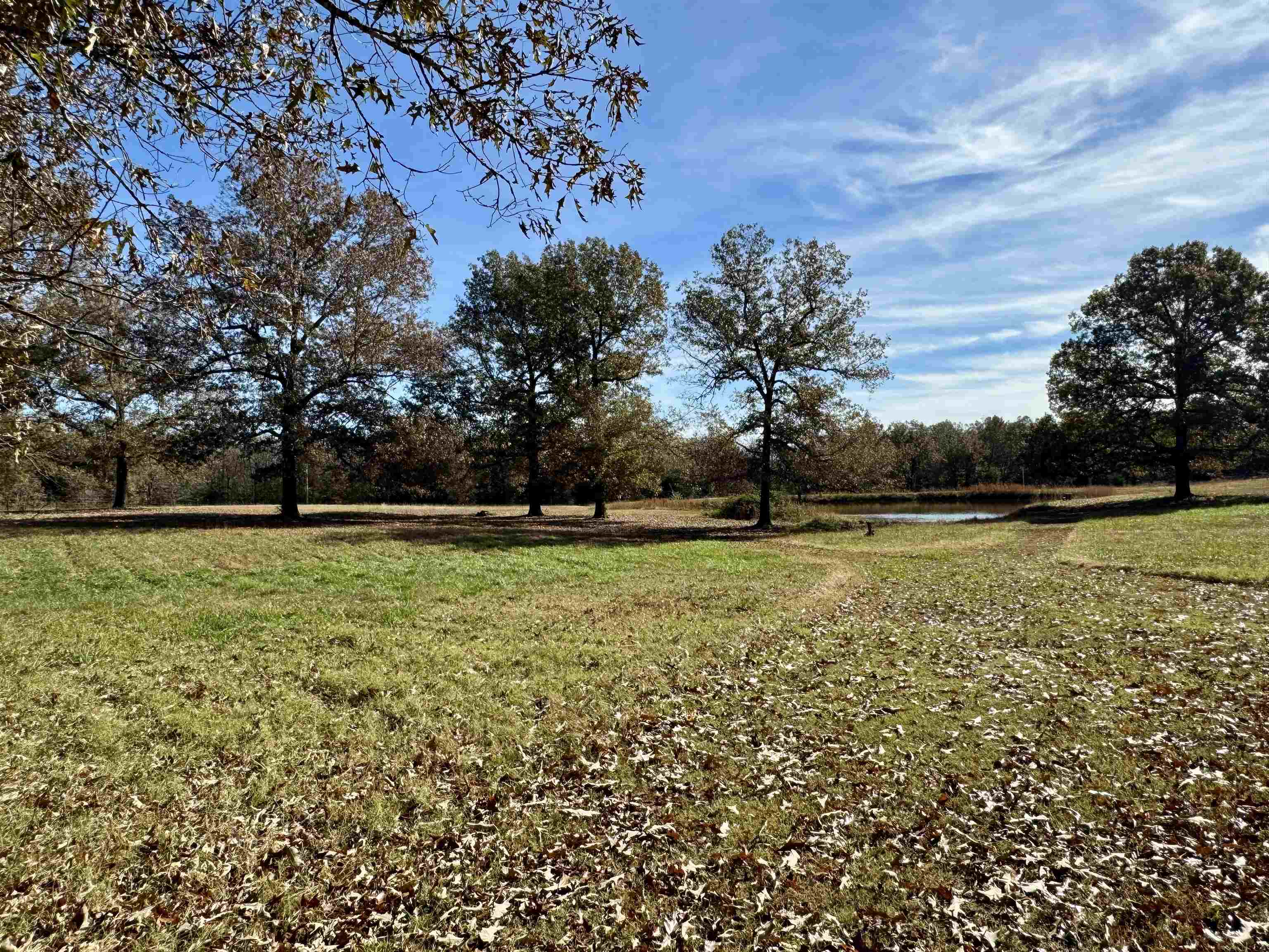 513  Hunter Cemetery Road  Salem, AR