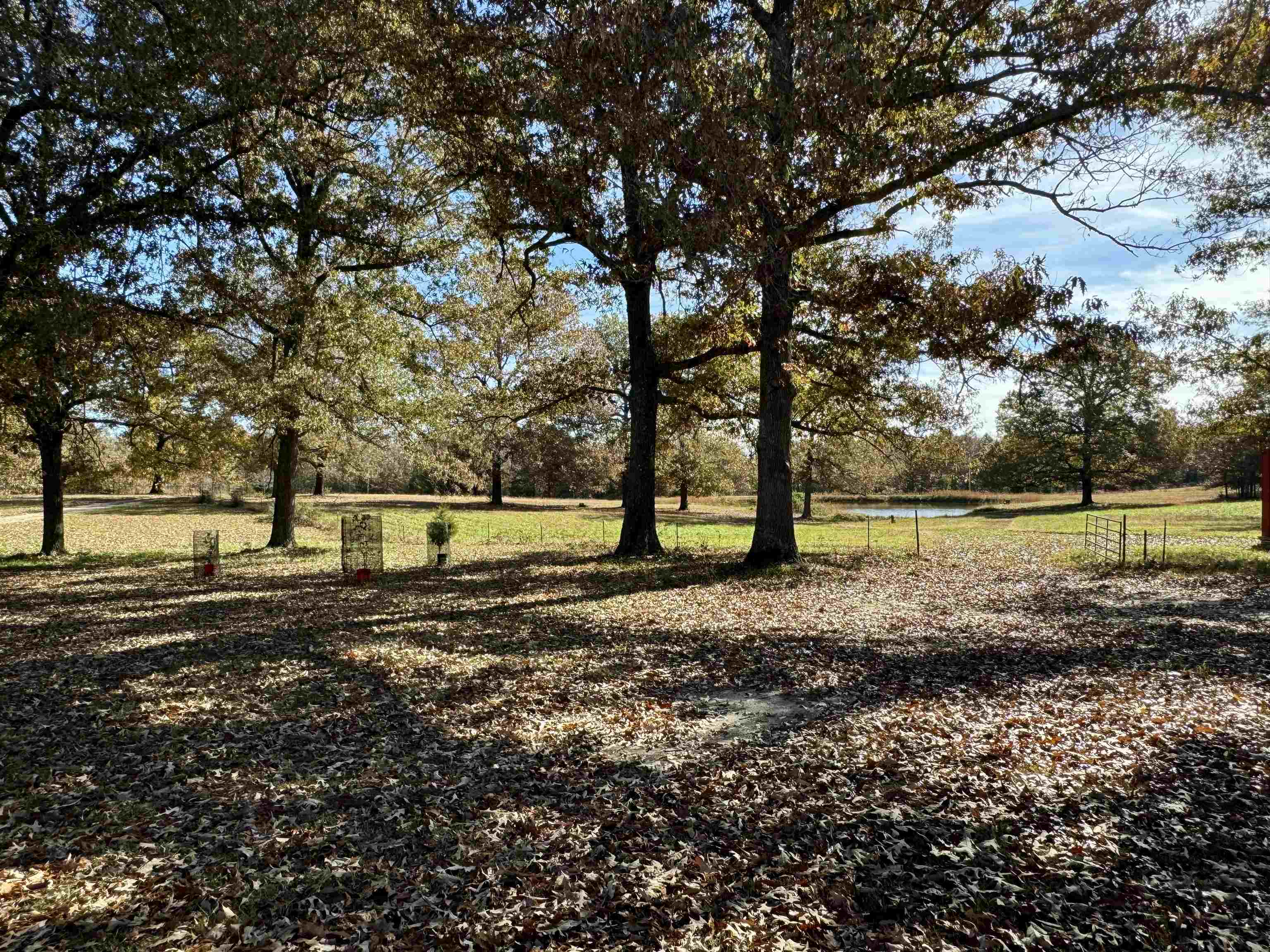 513  Hunter Cemetery Road  Salem, AR