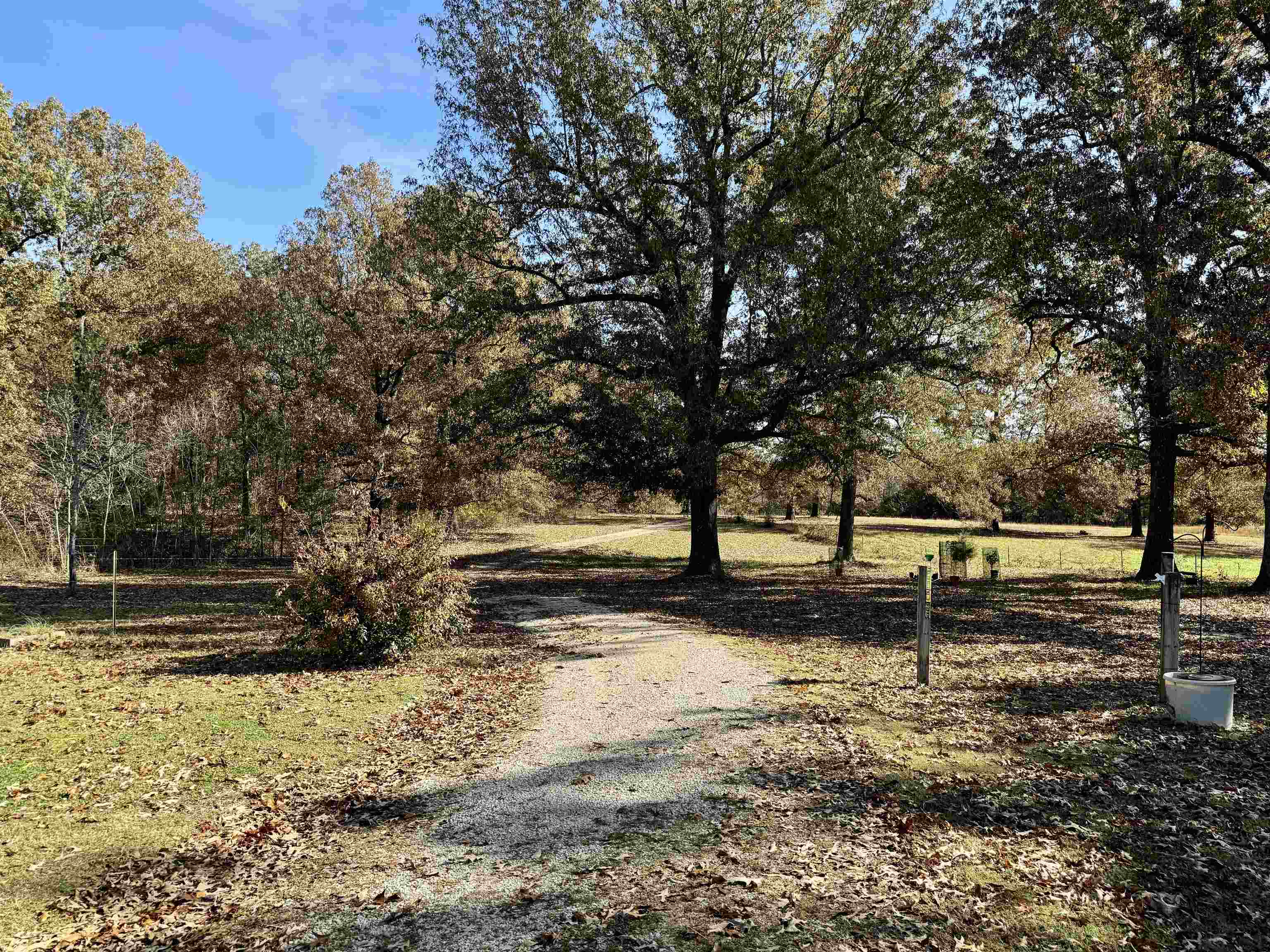 513  Hunter Cemetery Road  Salem, AR