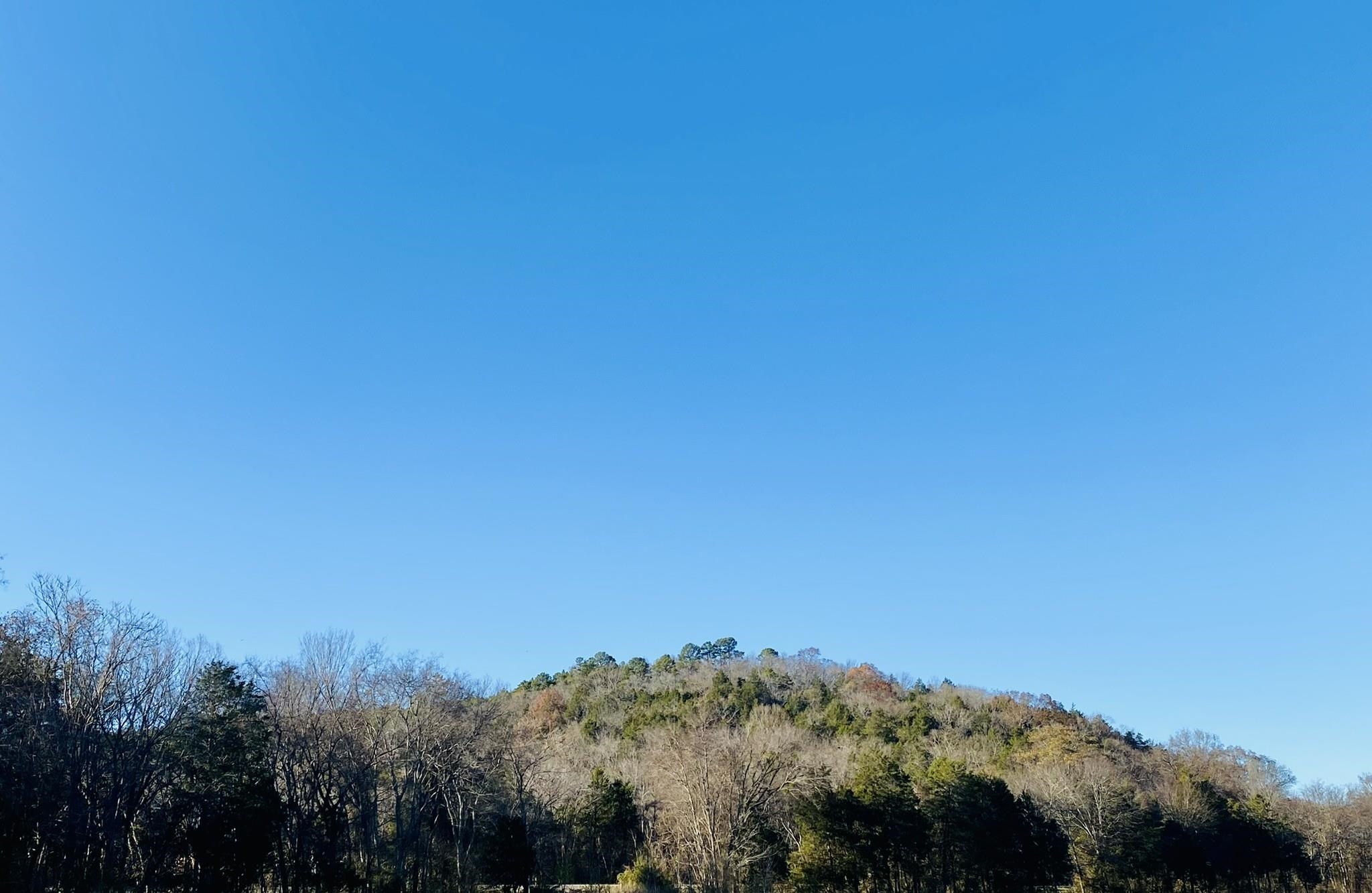 123  Highway 5 North  Mountain View, AR