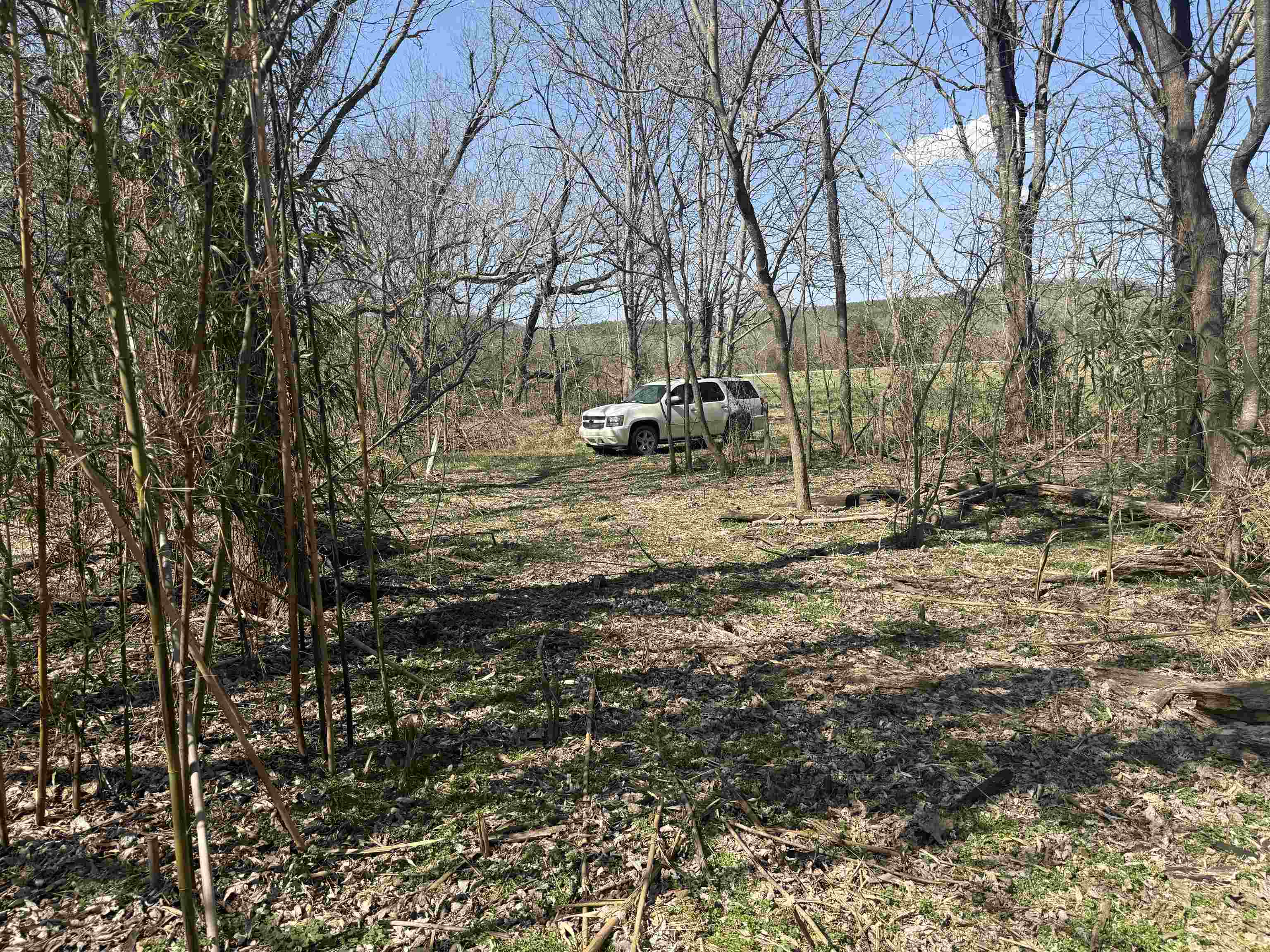 123  Highway 5 North  Mountain View, AR