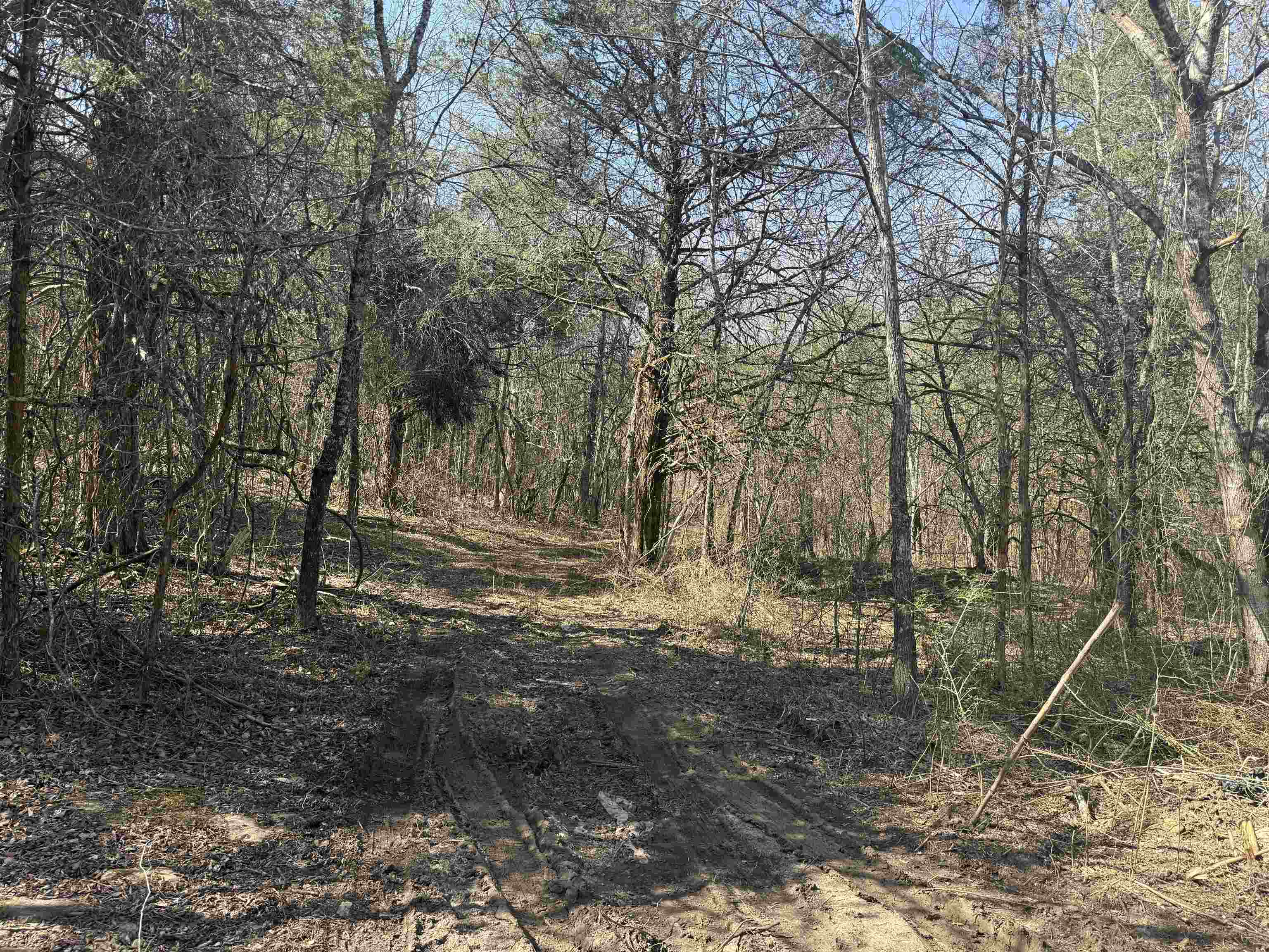 123  Highway 5 North  Mountain View, AR