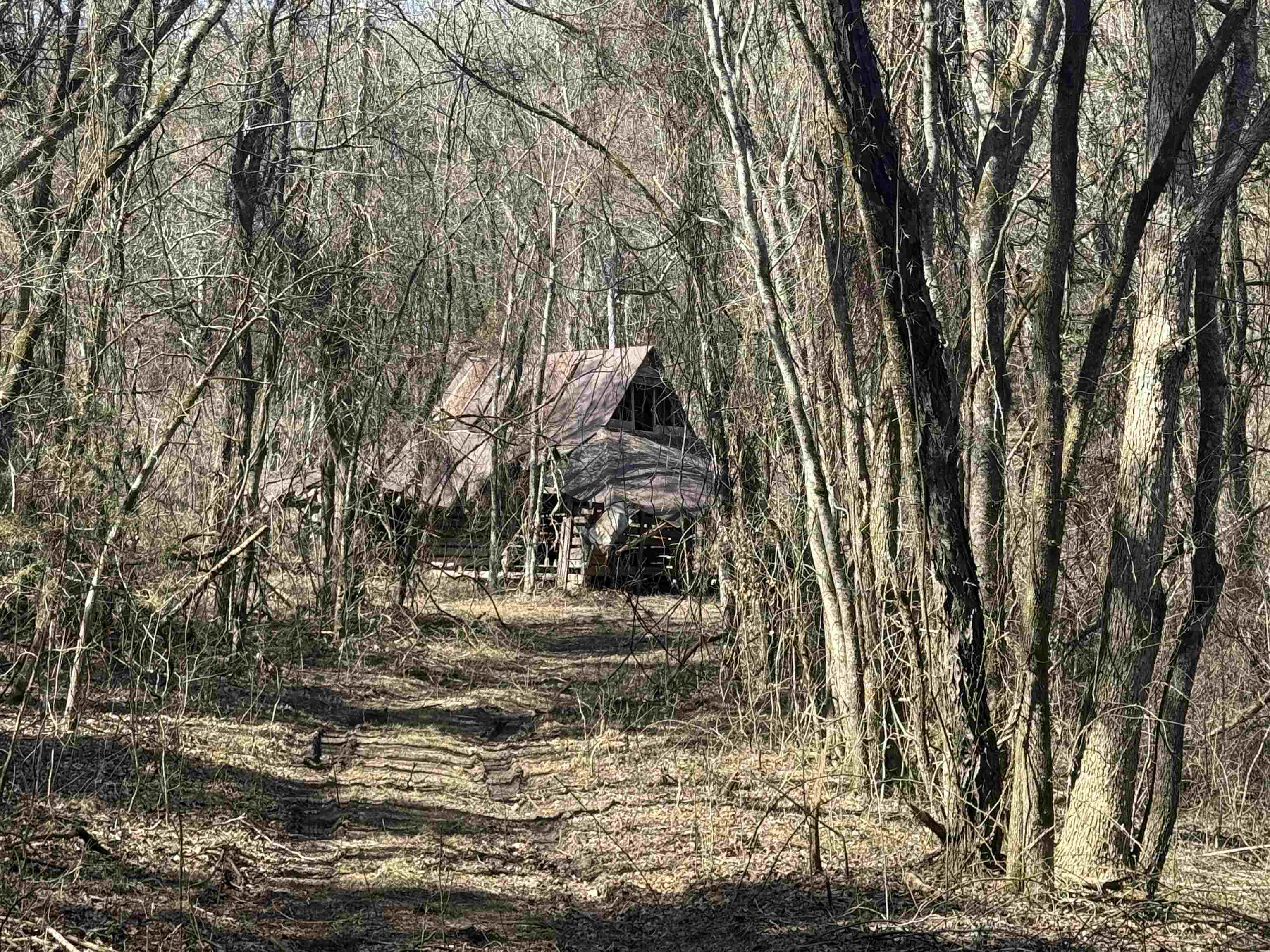 123  Highway 5 North  Mountain View, AR