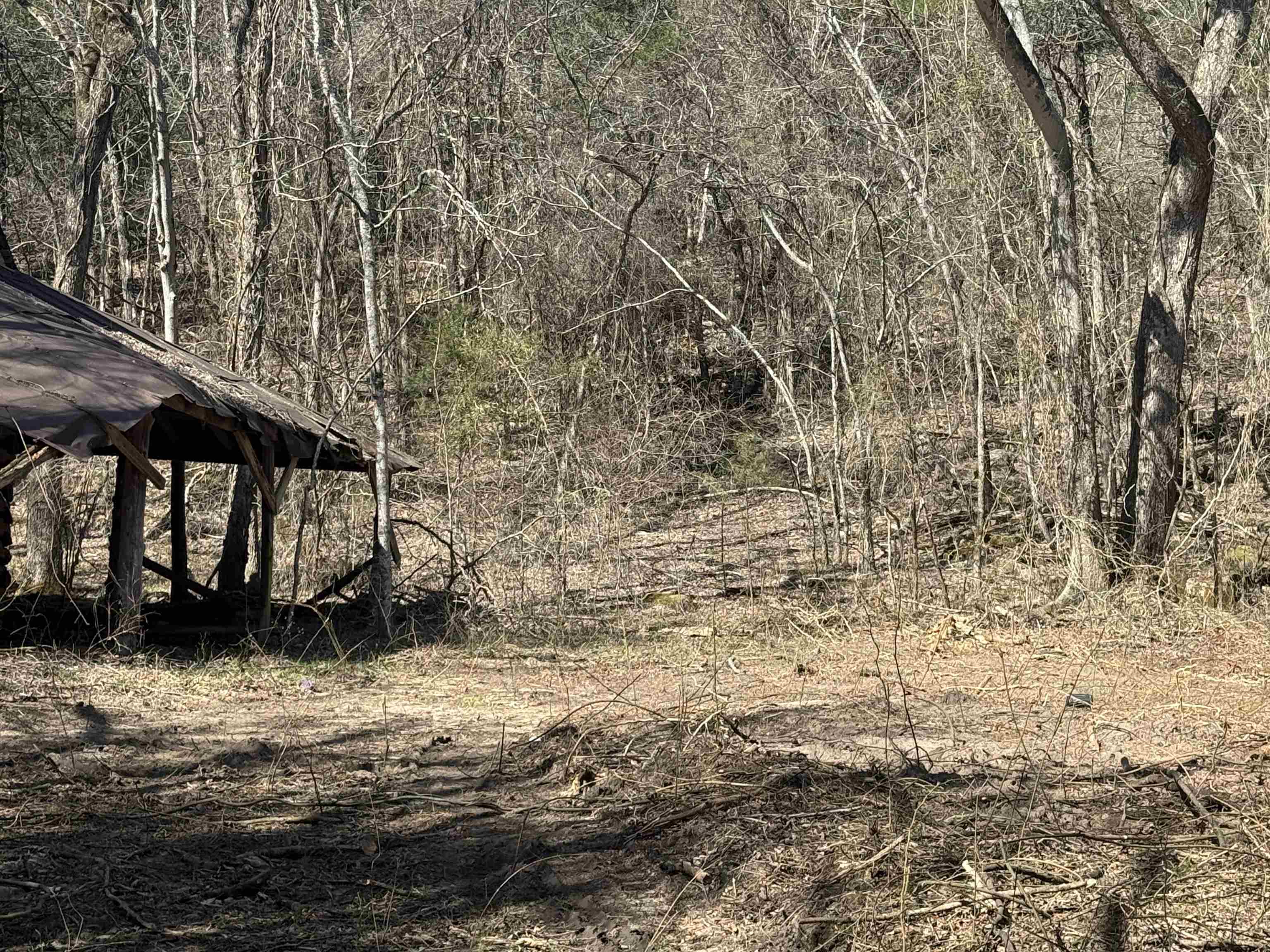 123  Highway 5 North  Mountain View, AR