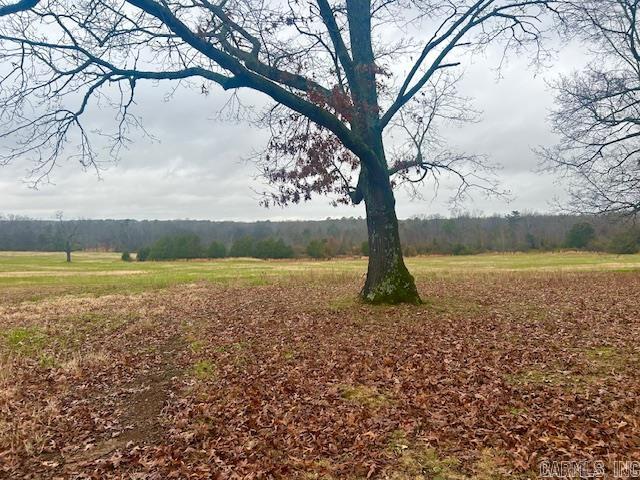101  Summer Meadows  Mountain View, AR