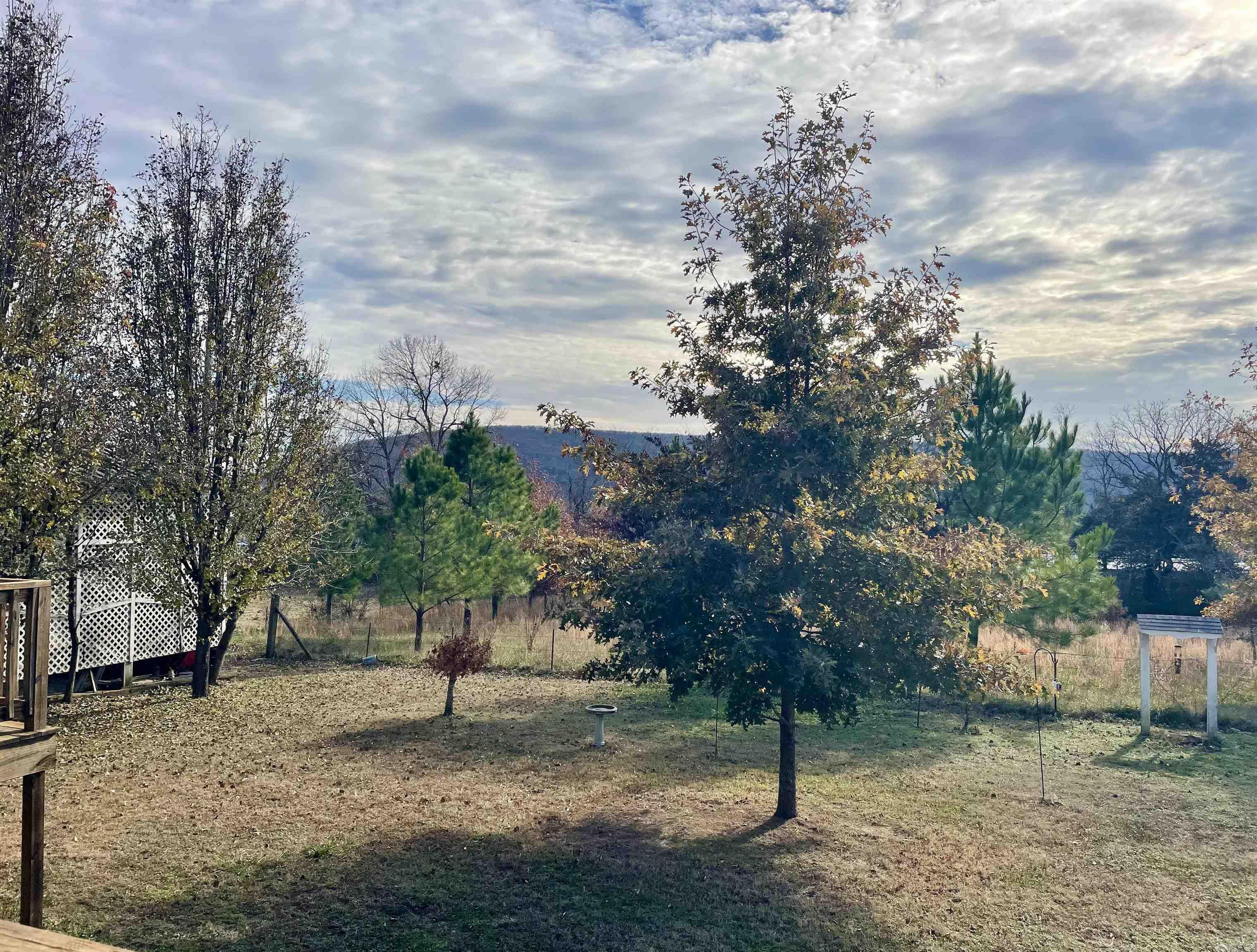 1000 Clarence St  Mountain View, AR
