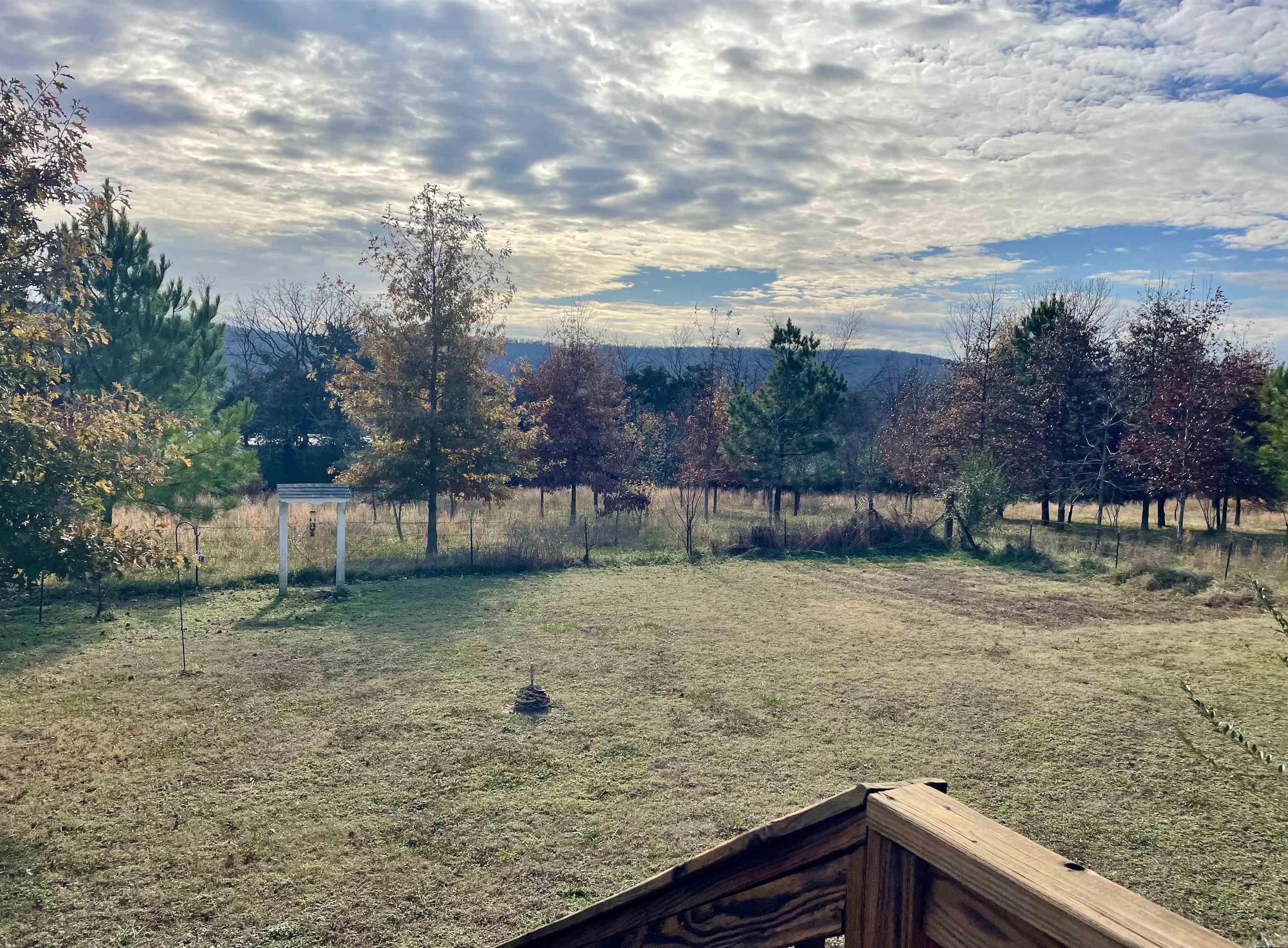 1000 Clarence St  Mountain View, AR