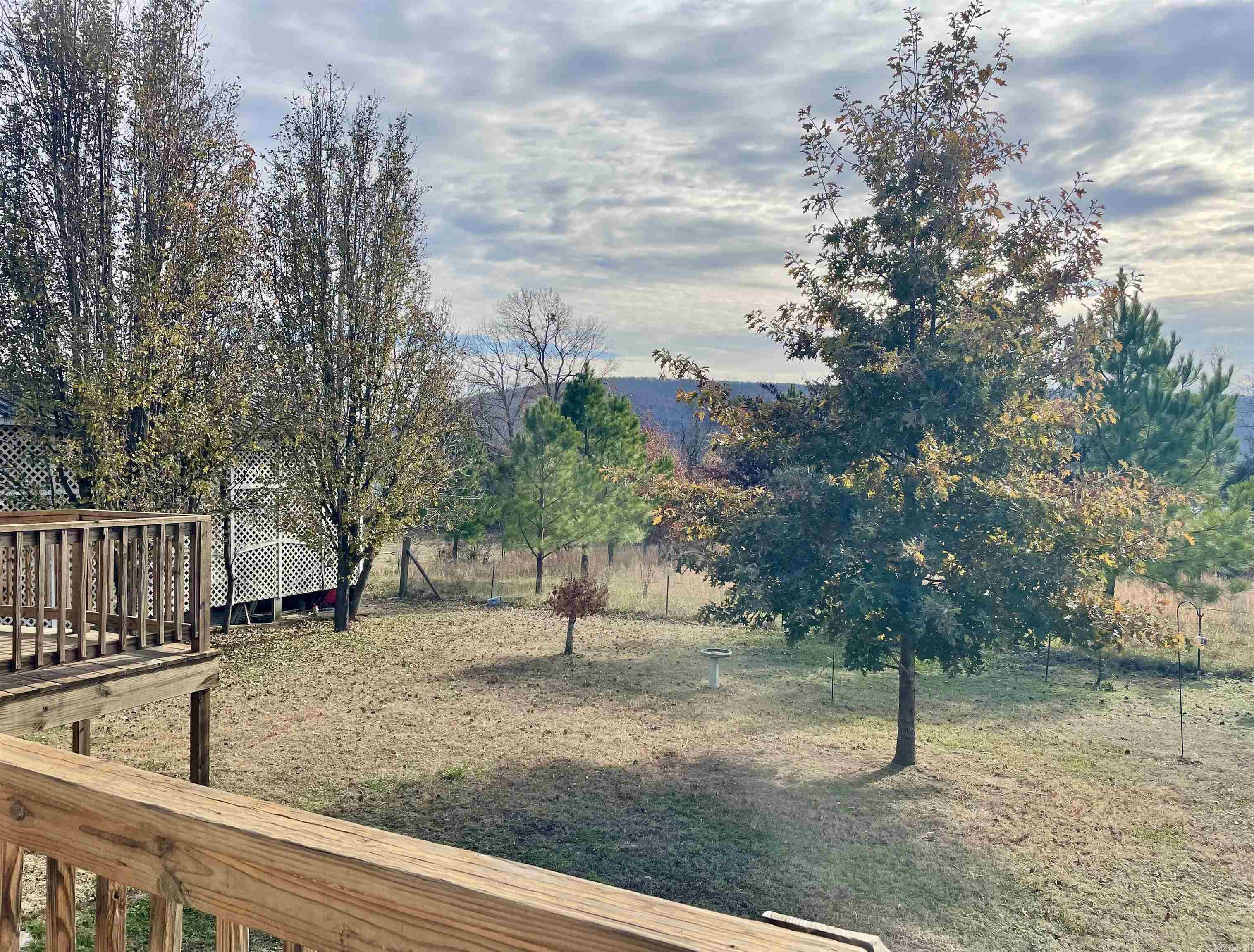 1000 Clarence St  Mountain View, AR
