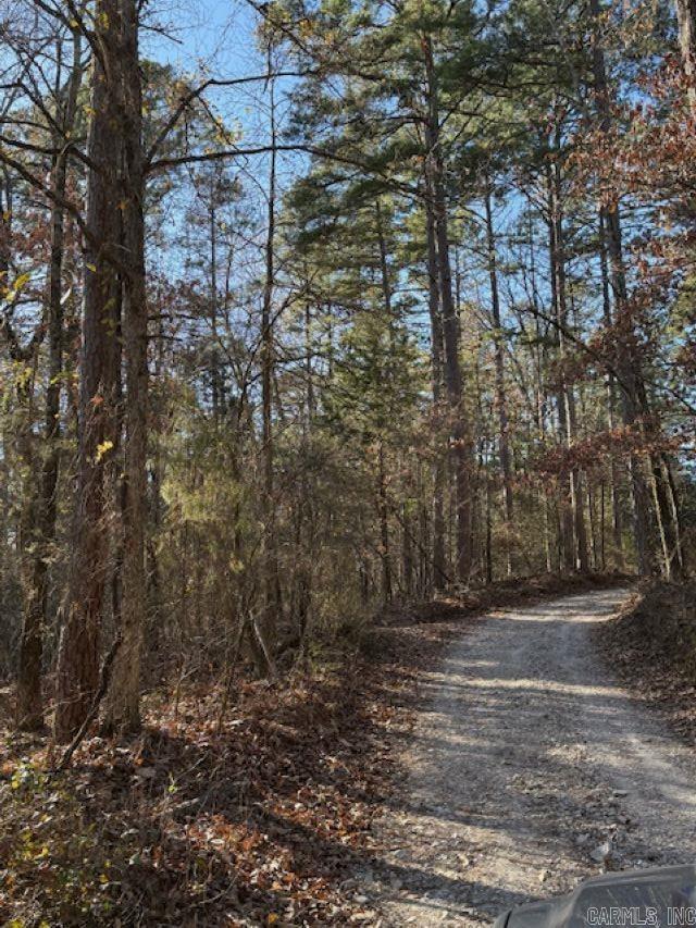 552 Little Creek Lane  Pineville, AR