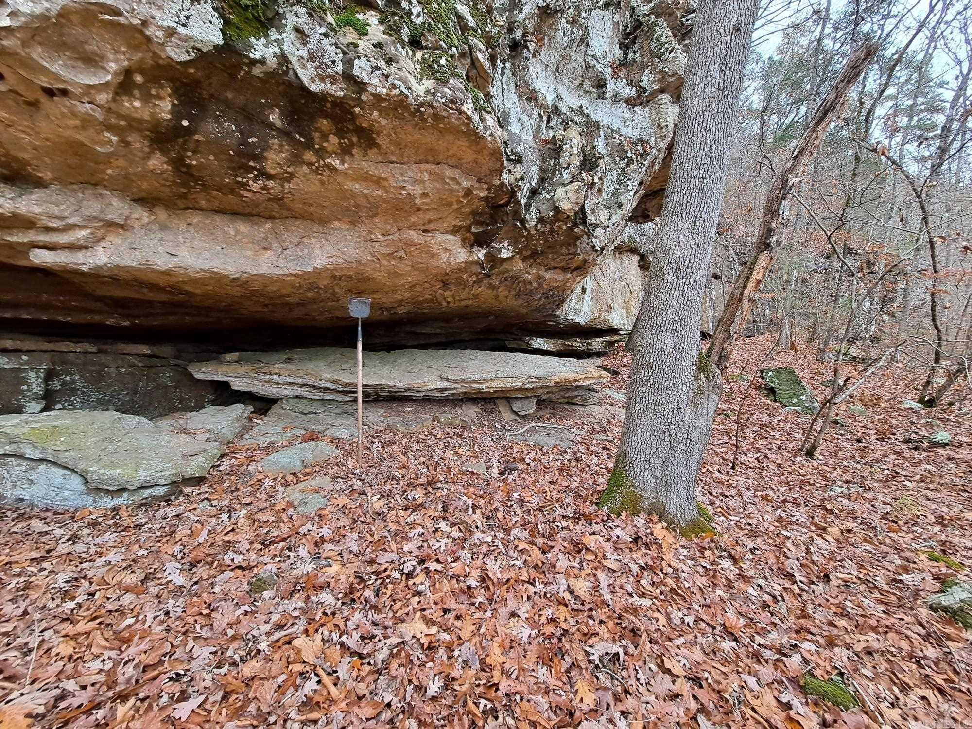 000  Half Moon Mountain Road  Clinton, AR