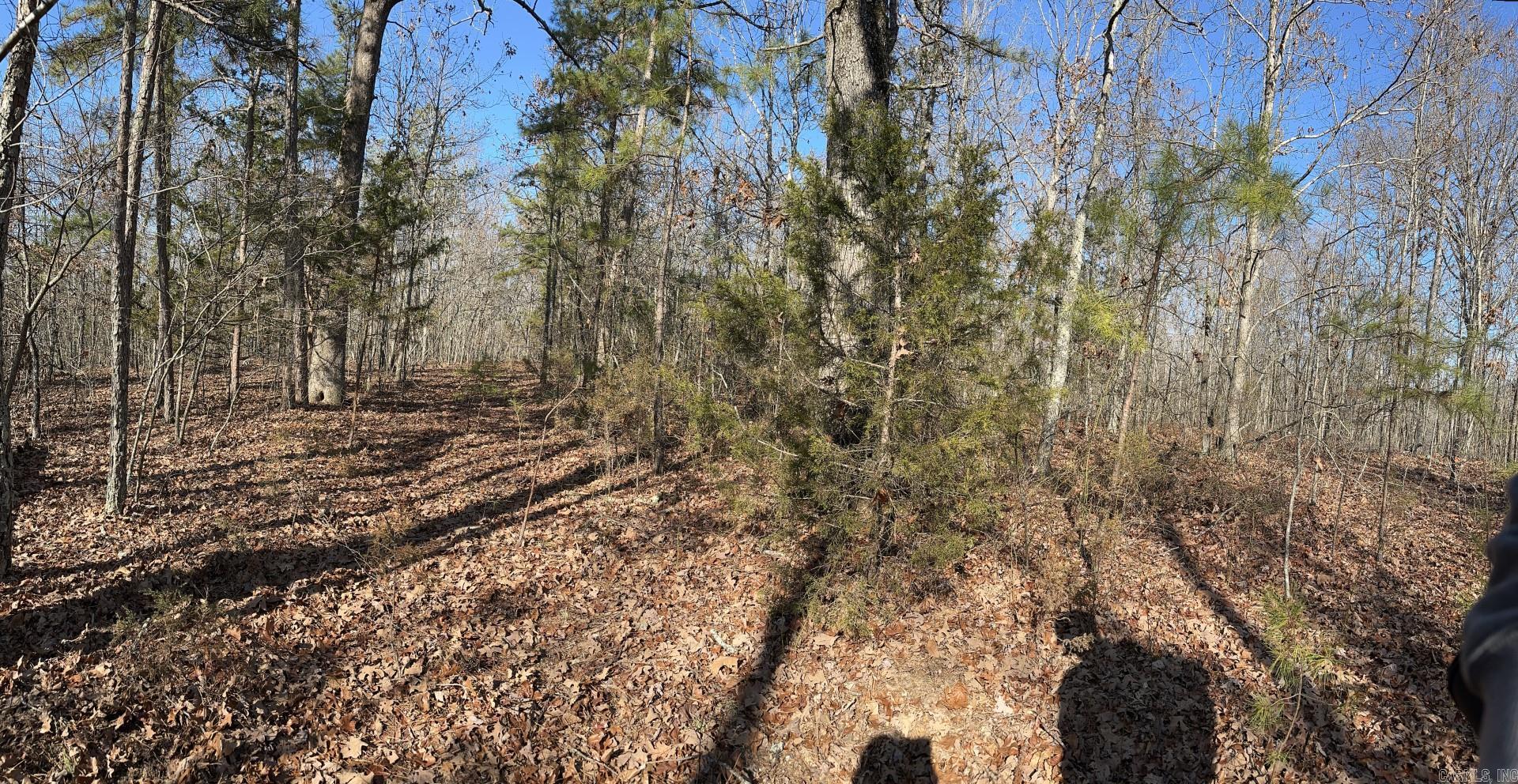 000  Half Moon Mountain Road  Clinton, AR