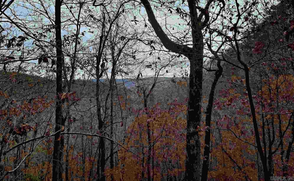 000  Half Moon Mountain Road  Clinton, AR