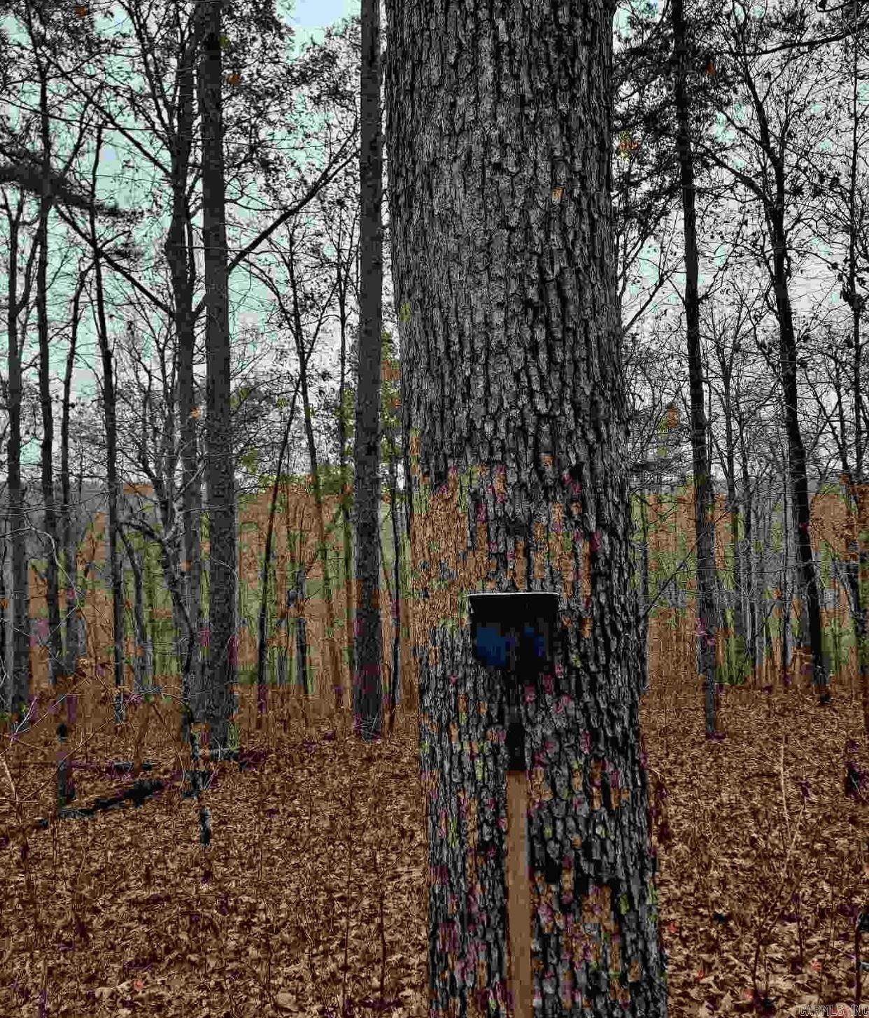 000  Half Moon Mountain Road  Clinton, AR