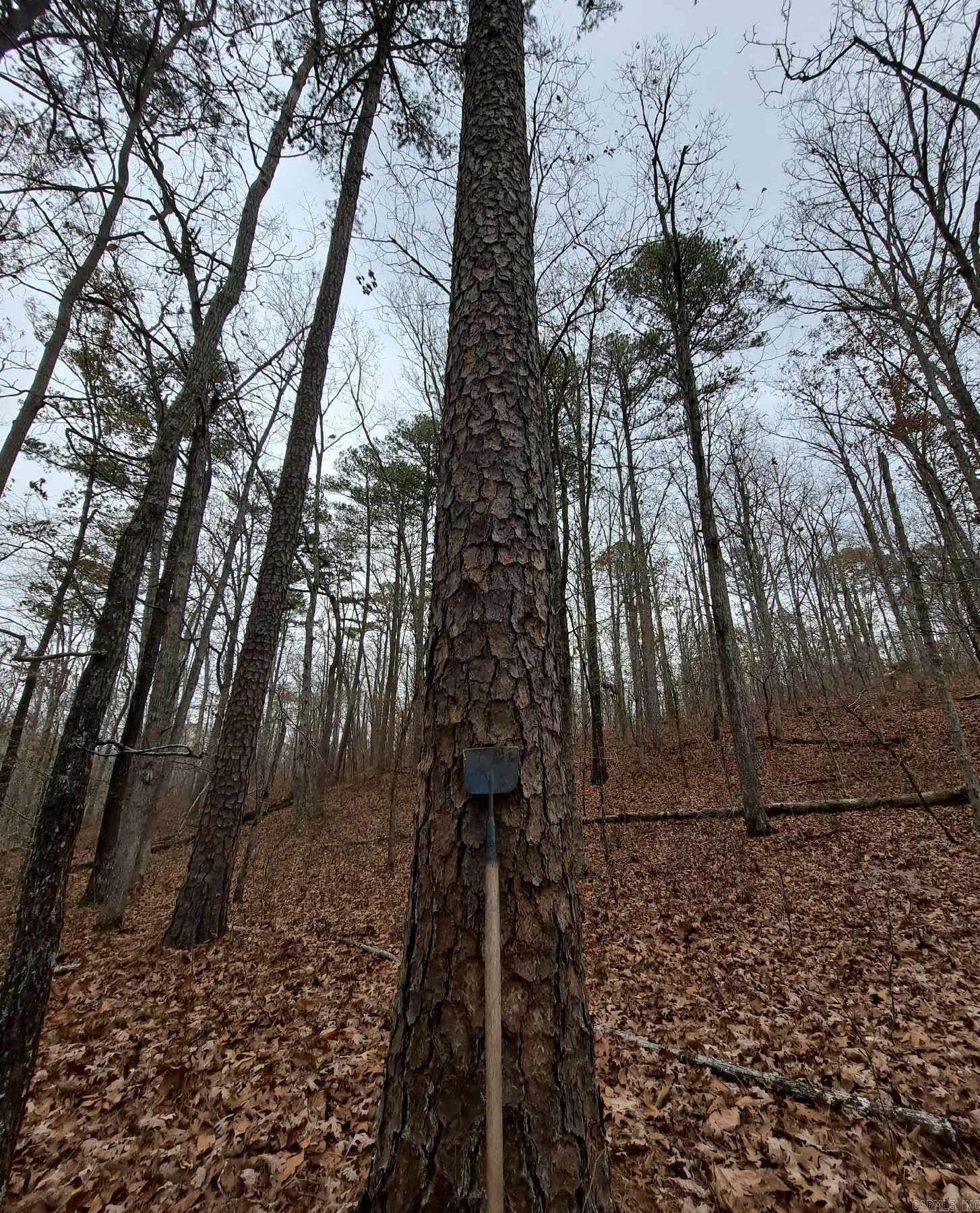 000  Half Moon Mountain Road  Clinton, AR