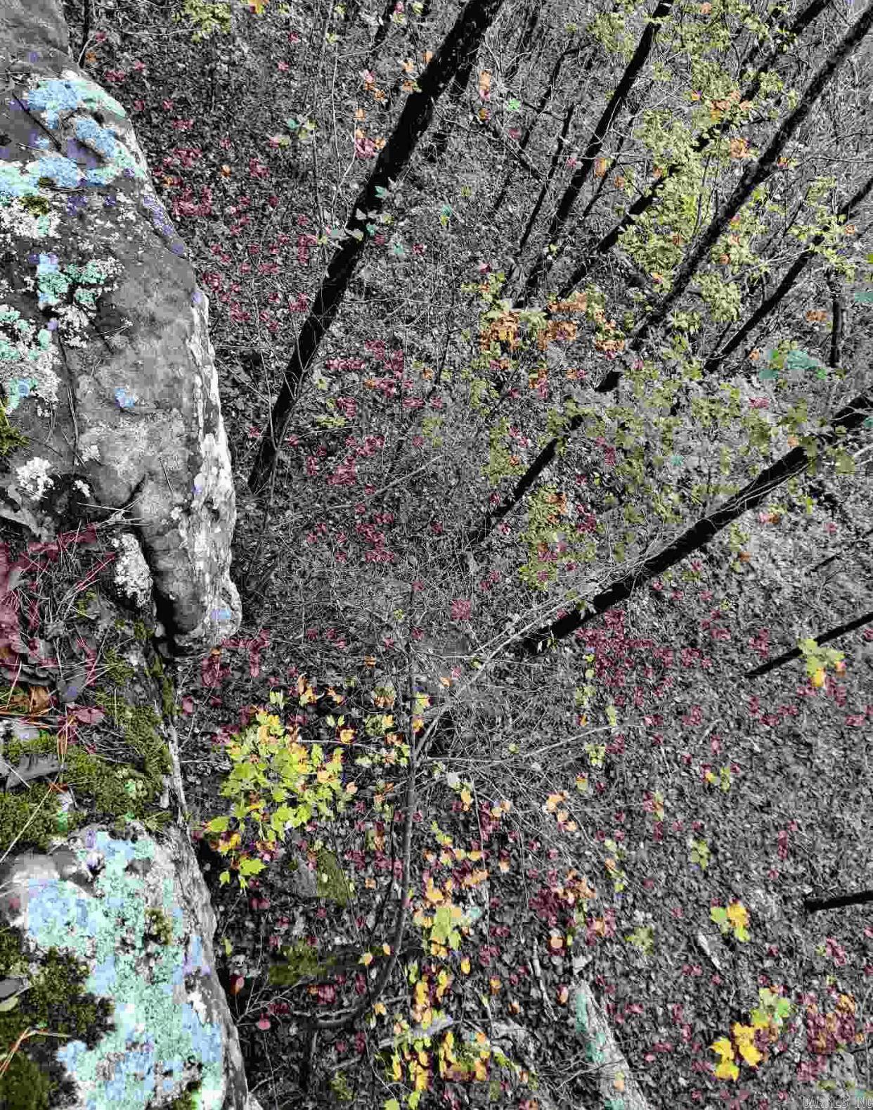 000  Half Moon Mountain Road  Clinton, AR